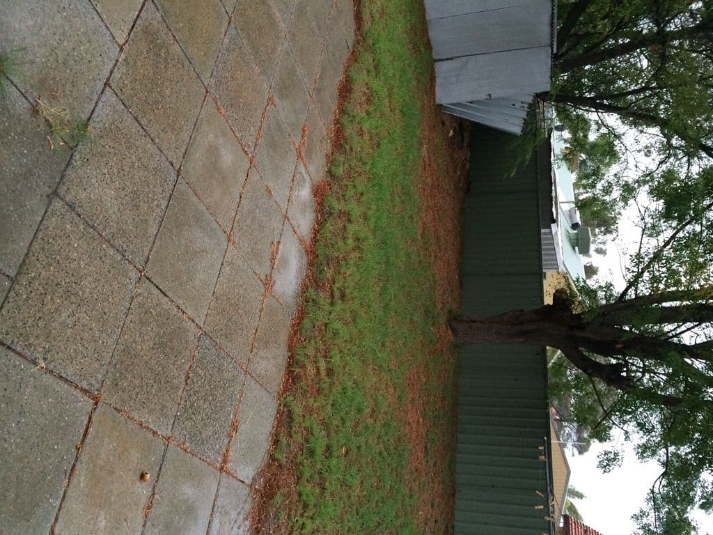 20 Brearley Street, BULLSBROOK WA 6084, Bullsbrook - Thumbnail 6