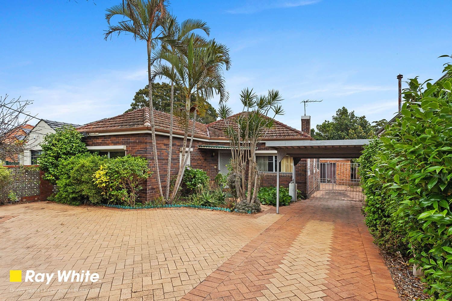96 Morgan Street, Kingsgrove NSW 2208, Kingsgrove - Image 1