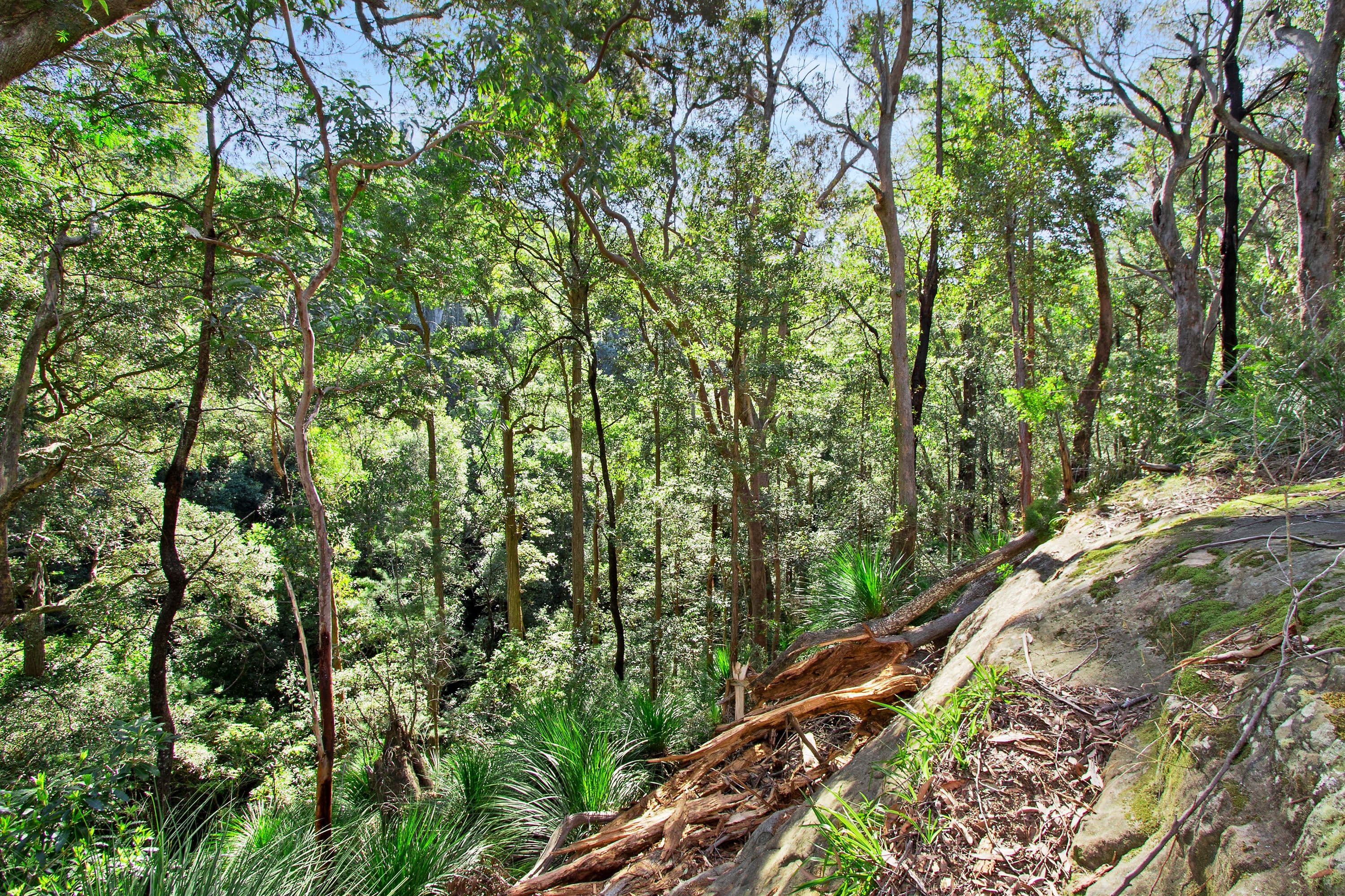 21 Stanley Avenue, Kurrajong Heights - Thumbnail 8