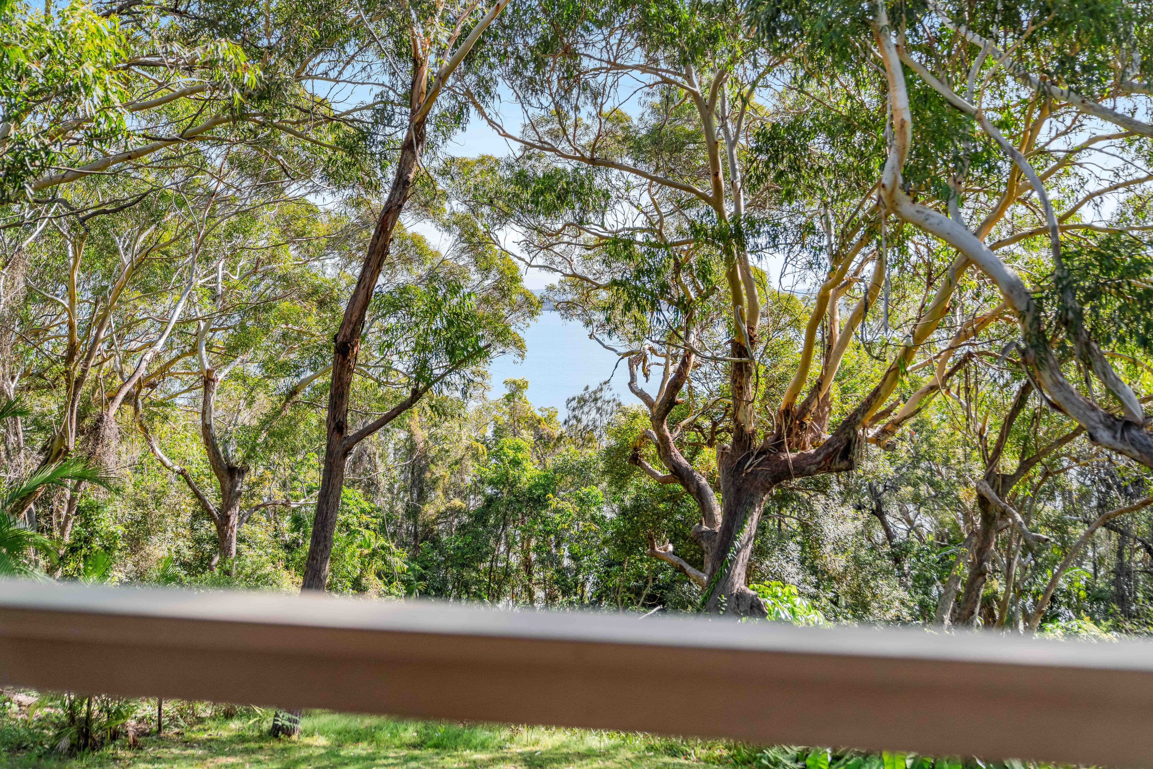 7 Lakes Boulevard, Wooloweyah NSW 2464, Wooloweyah - Thumbnail 7