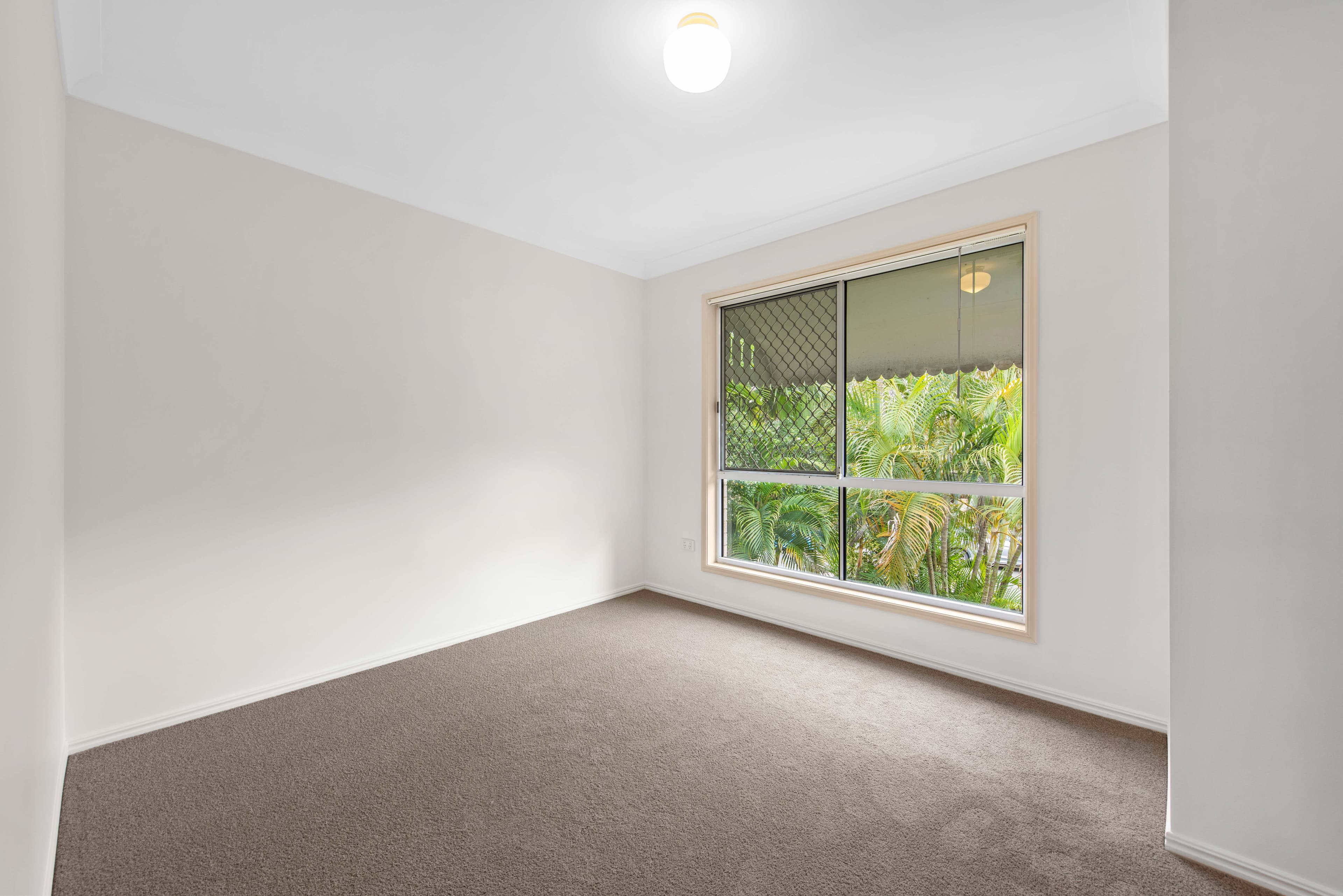 37 Querrin Street, Yeronga QLD 4104, Yeronga - Thumbnail 8