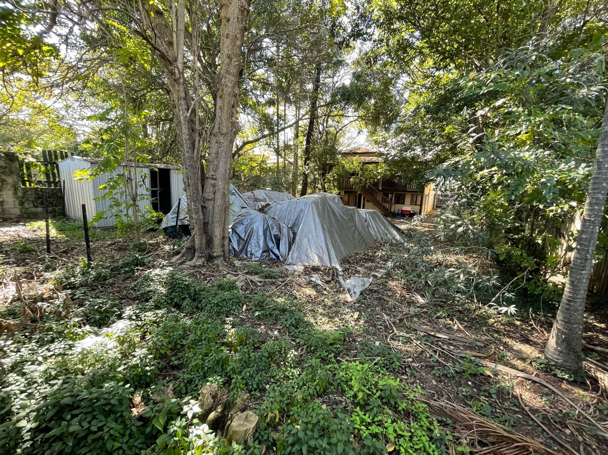 31 Mark Street, New Farm QLD 4005, New Farm - Thumbnail 6
