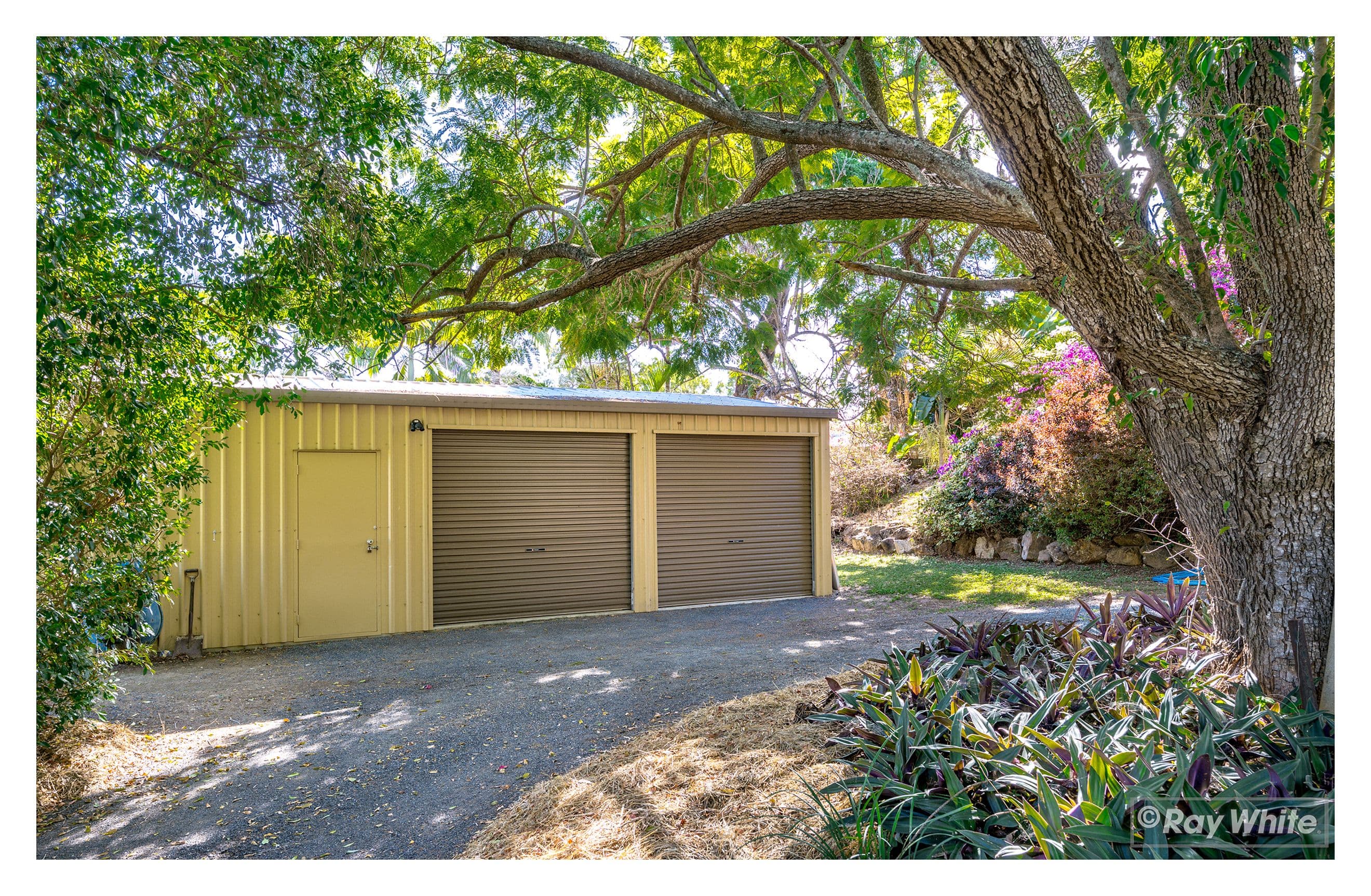 36 Gremalis Drive, Parkhurst QLD 4702, Parkhurst - Thumbnail 5