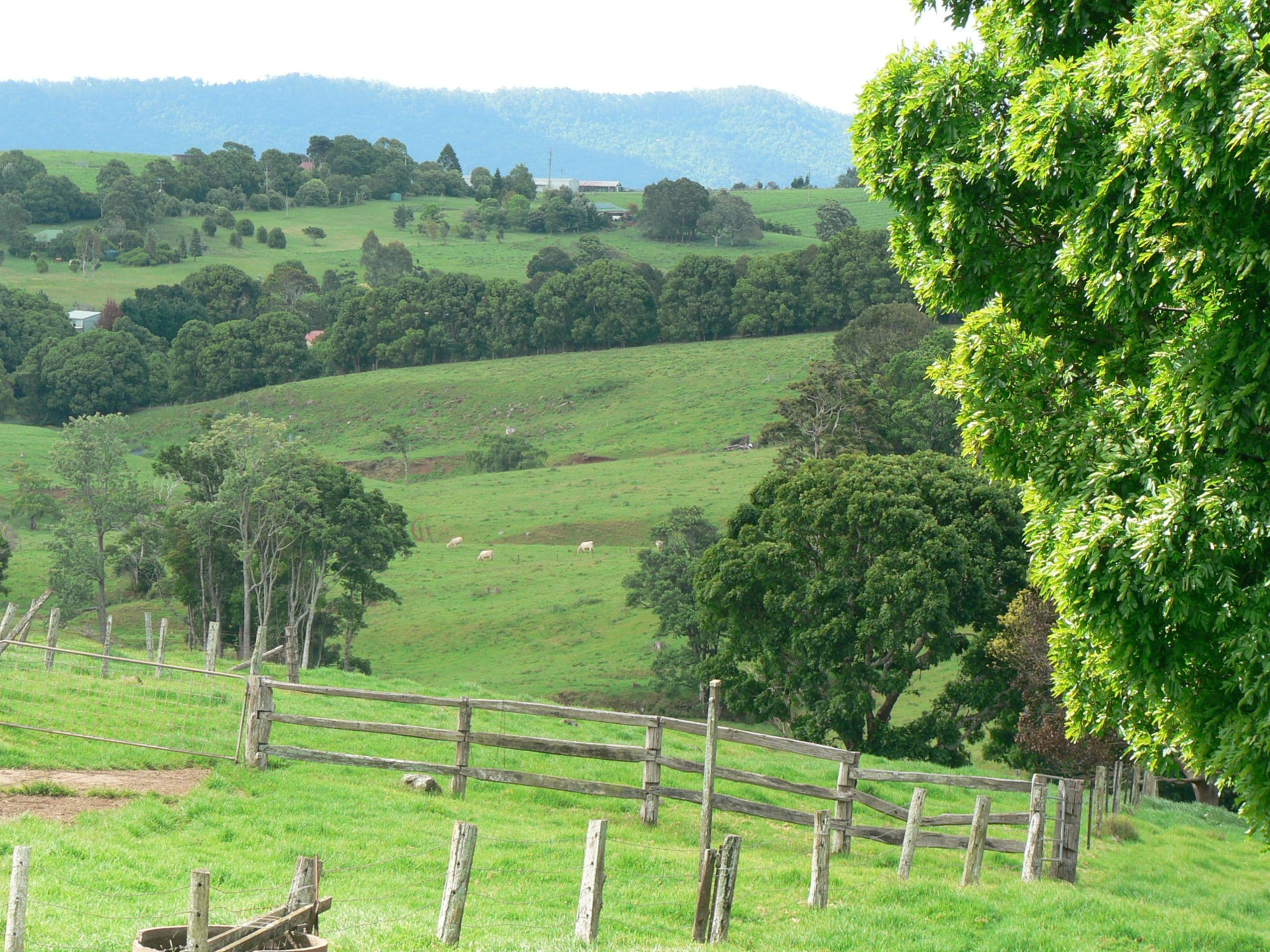 38 Summerville Road, Beechmont QLD 4211, Beechmont - Thumbnail 4