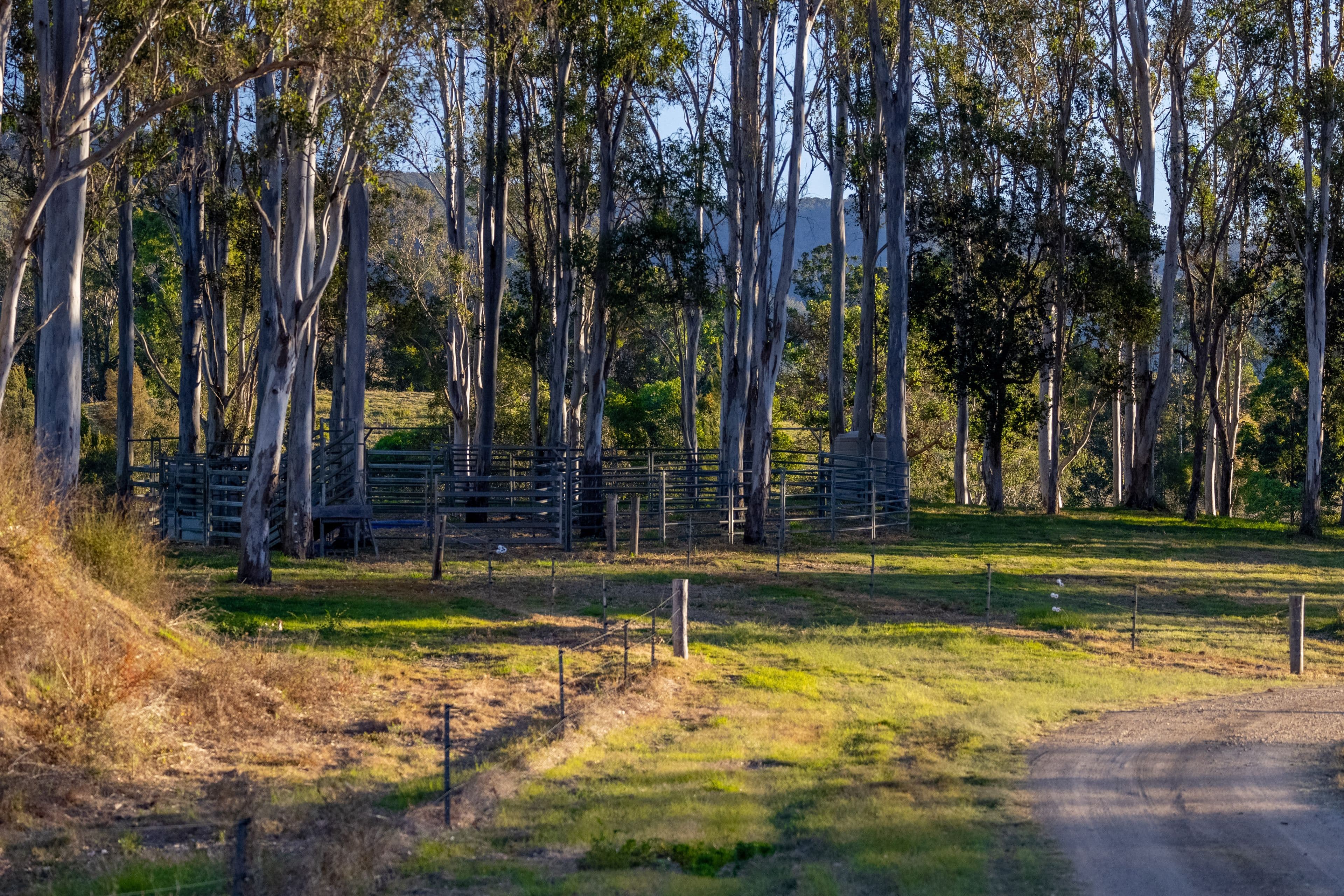 239 Cookes Road, Conondale QLD 4552, Conondale - Thumbnail 3
