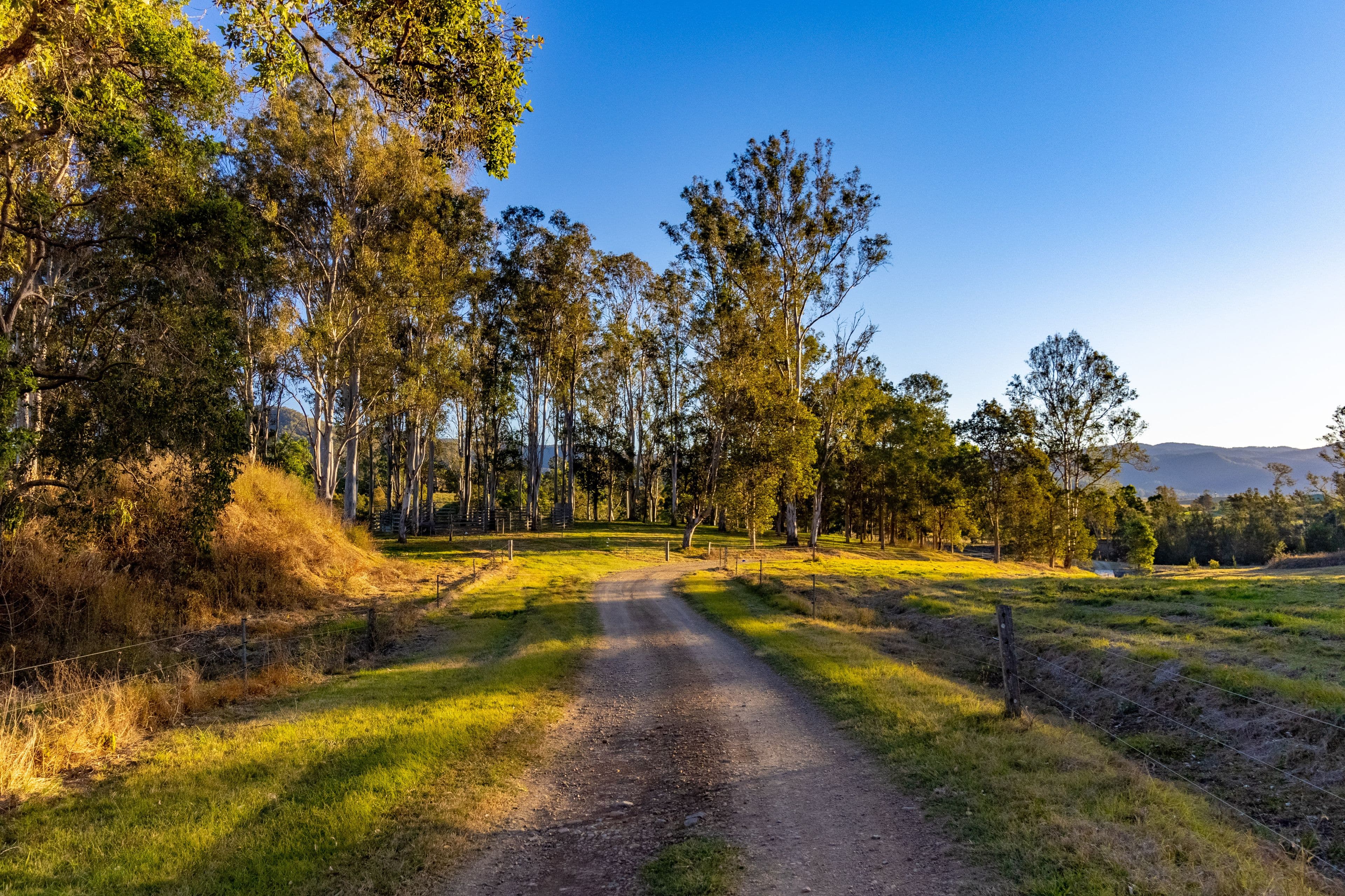 239 Cookes Road, Conondale QLD 4552, Conondale - Thumbnail 4