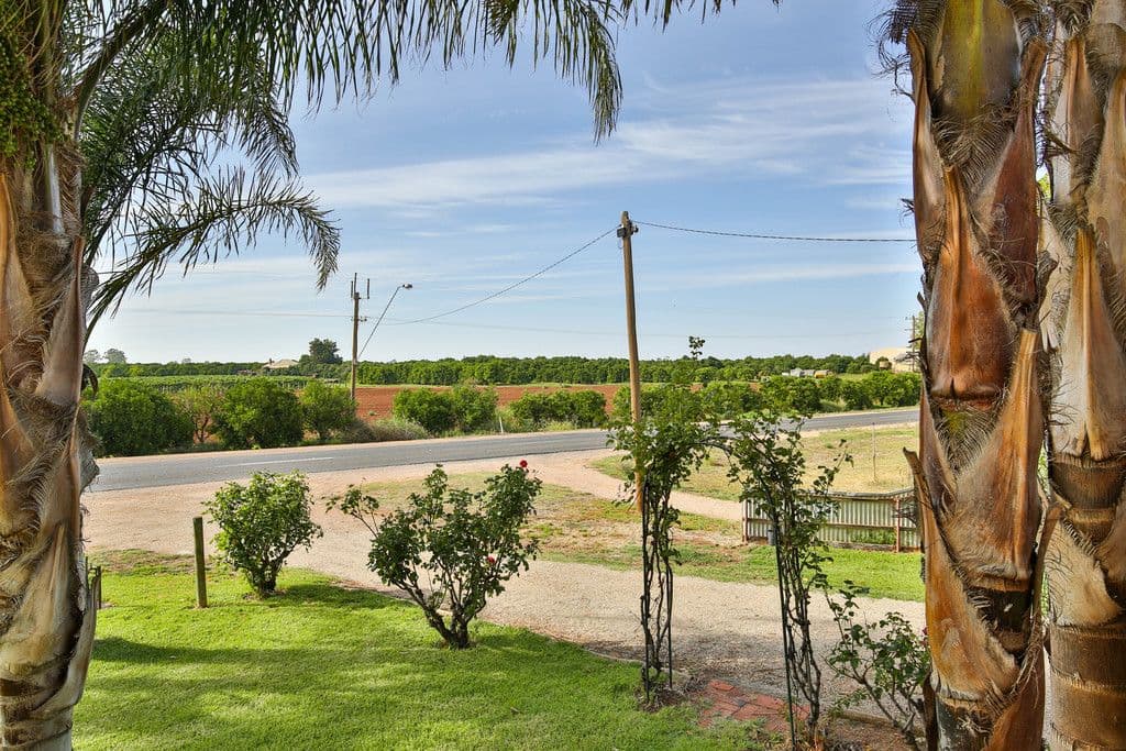 224 Morpung Avenue, Irymple VIC 3498, Irymple - Thumbnail 2