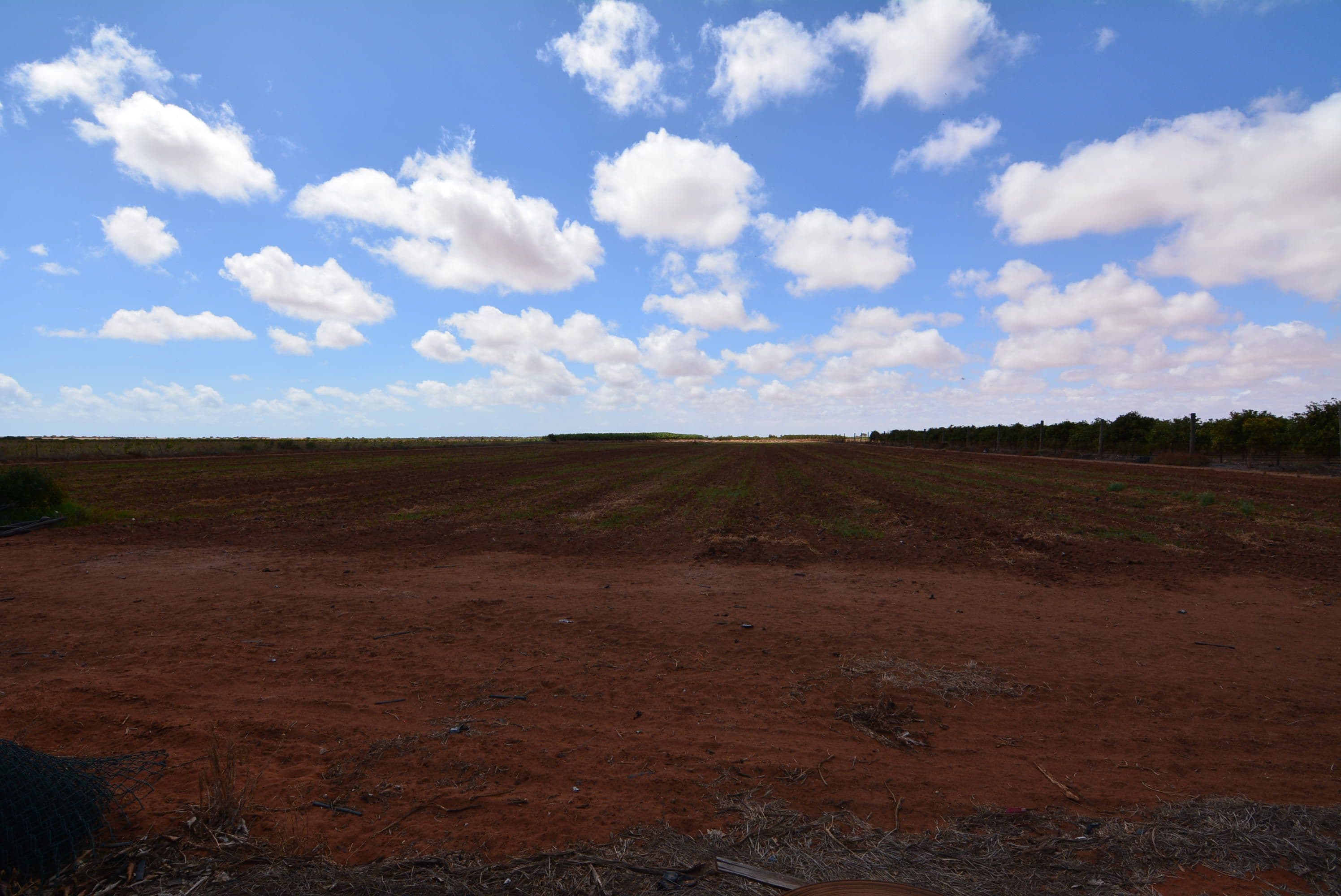 378 North River Road, Carnarvon WA 6701, Carnarvon - Thumbnail 4