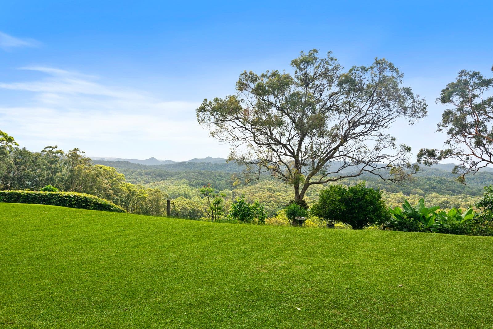 422 Tallebudgera Connection Road, Tallebudgera QLD 4228, Tallebudgera - Thumbnail 2
