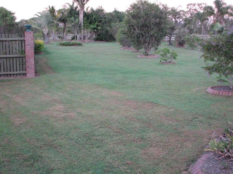 2 Jasper Court, BRANYAN QLD 4670, Branyan - Thumbnail 7