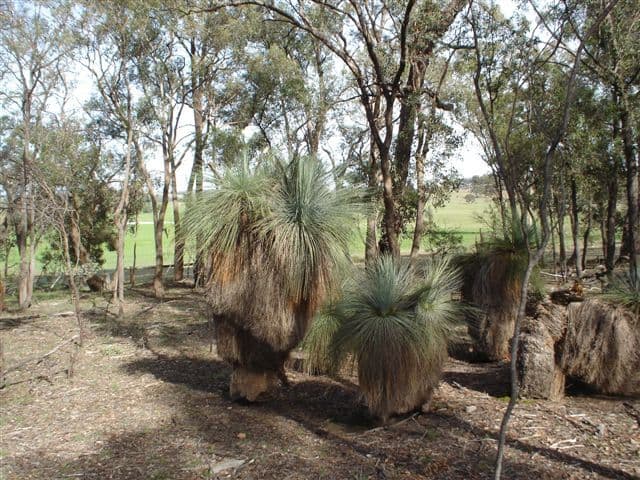 279 Cherry Tree Lane, NAGAMBIE VIC 3608, Nagambie - Thumbnail 6