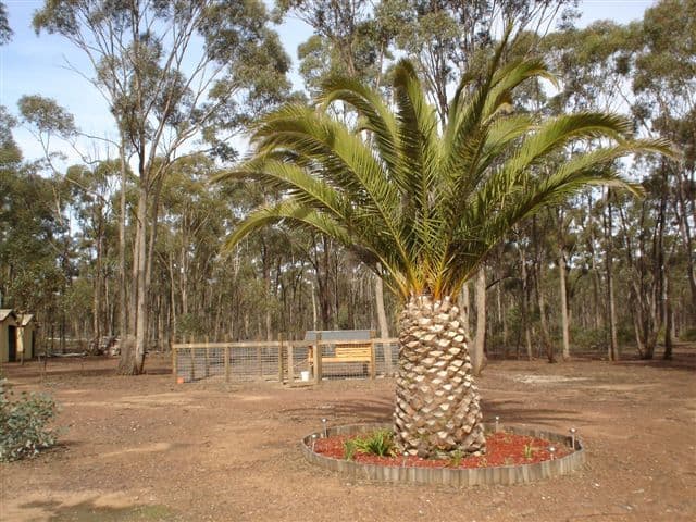 279 Cherry Tree Lane, NAGAMBIE VIC 3608, Nagambie - Thumbnail 7