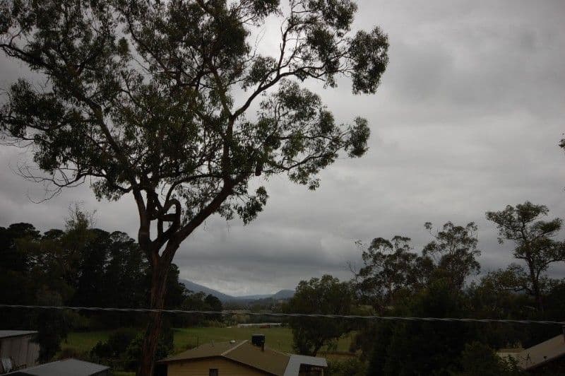 8 Eastview Avenue, SEVILLE VIC 3139, Seville East - Thumbnail 5