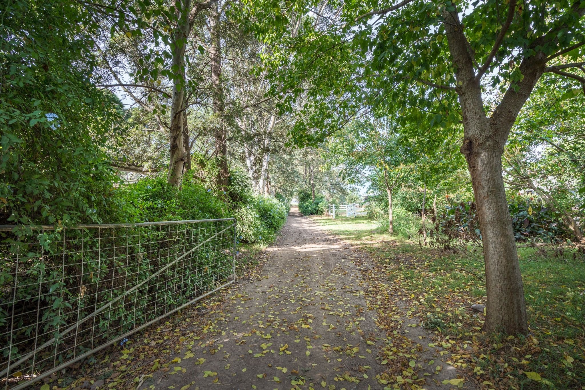 5 Rickaby Street, Clarendon NSW 2756, Clarendon - Thumbnail 2