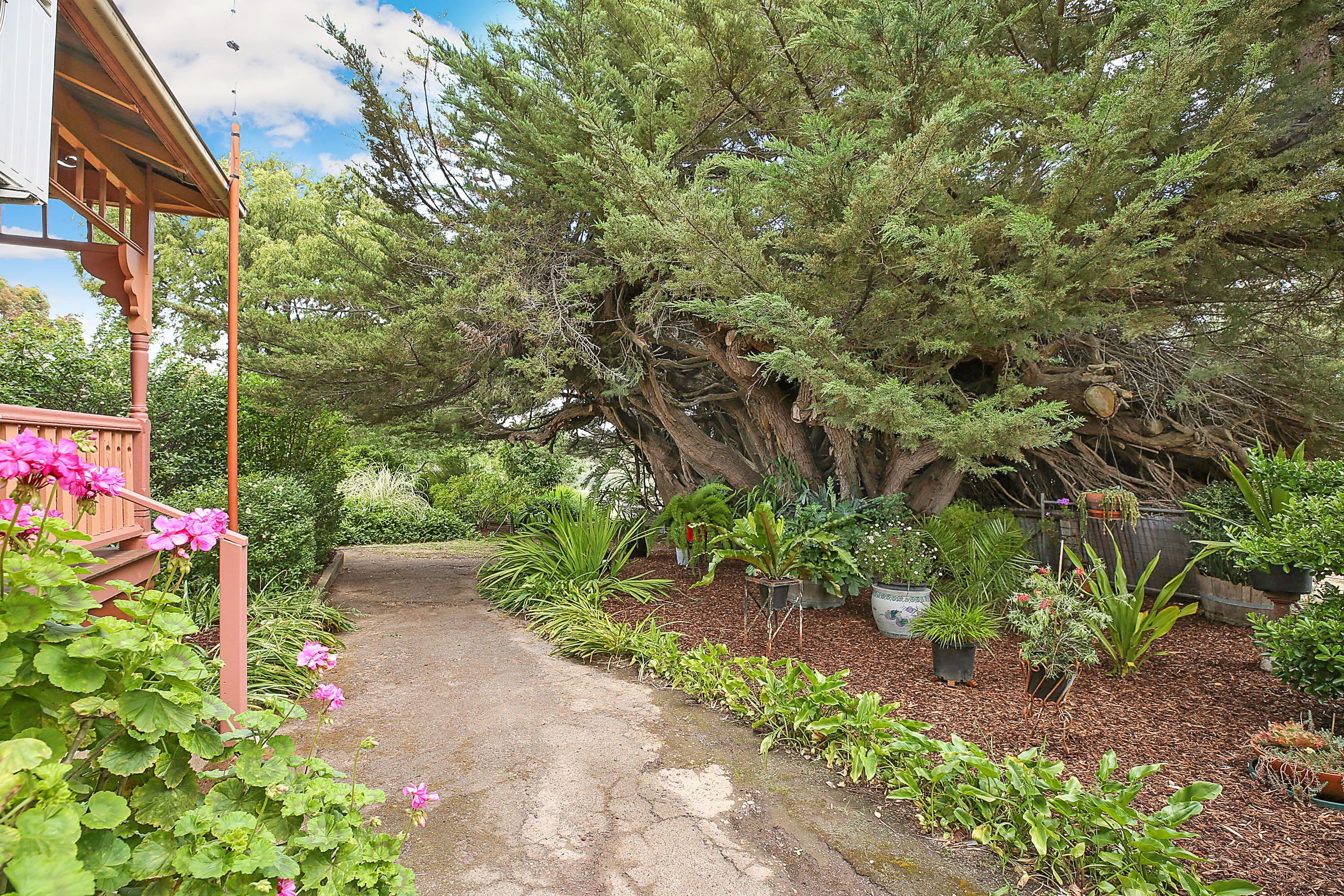 1 Albert Street, St Arnaud VIC 3478, St Arnaud - Thumbnail 2