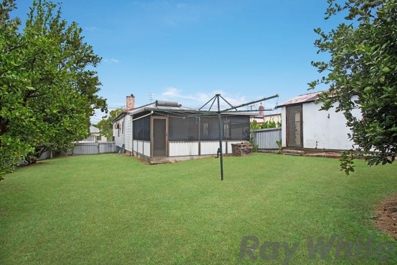 19 Raymond Street, Telarah - Thumbnail 7