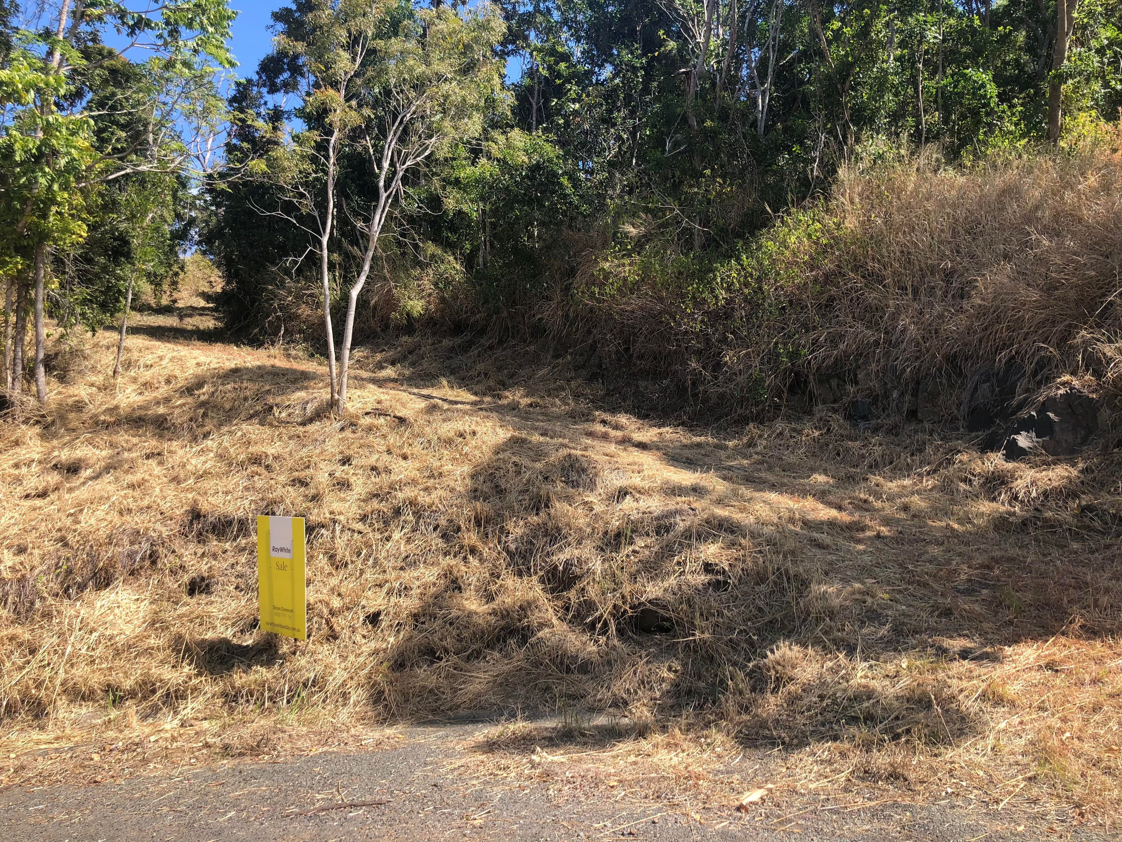Lot 25 Black Road, Riordanvale QLD 4800, Riordanvale - Thumbnail 4