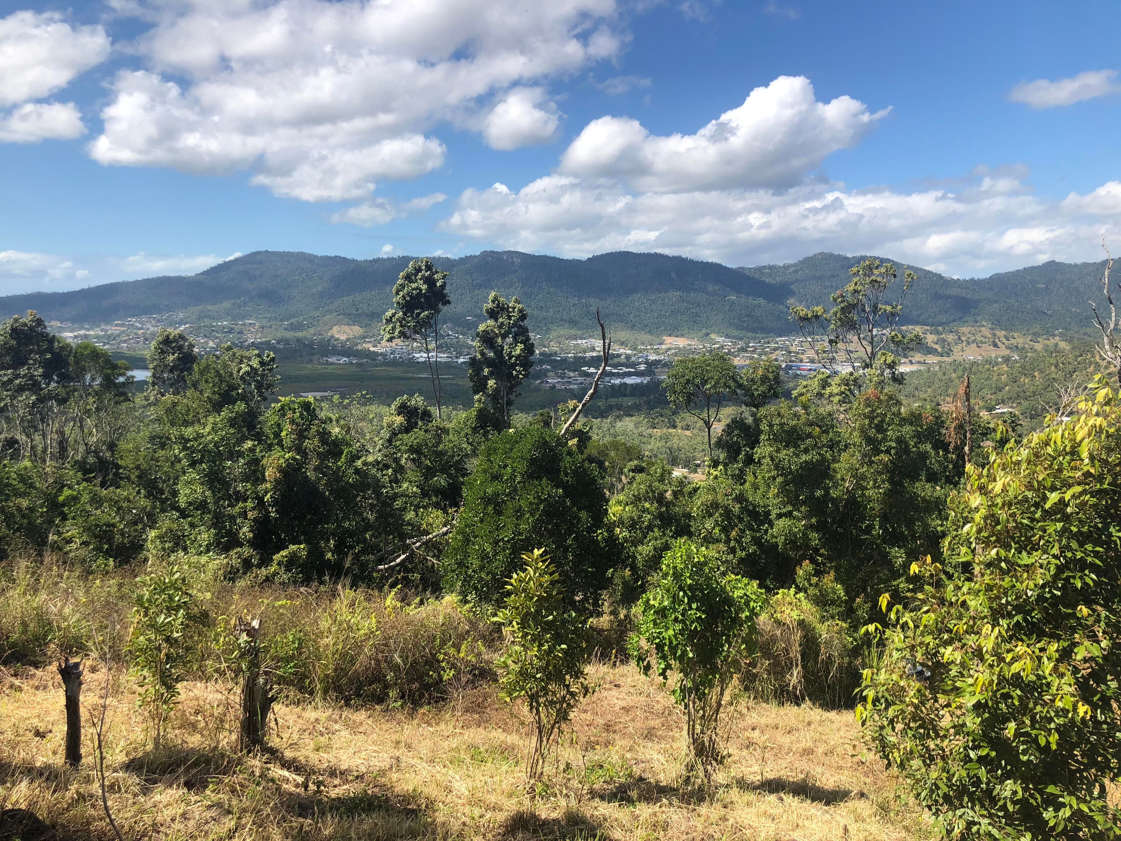 Lot 25 Black Road, Riordanvale QLD 4800, Riordanvale - Thumbnail 6