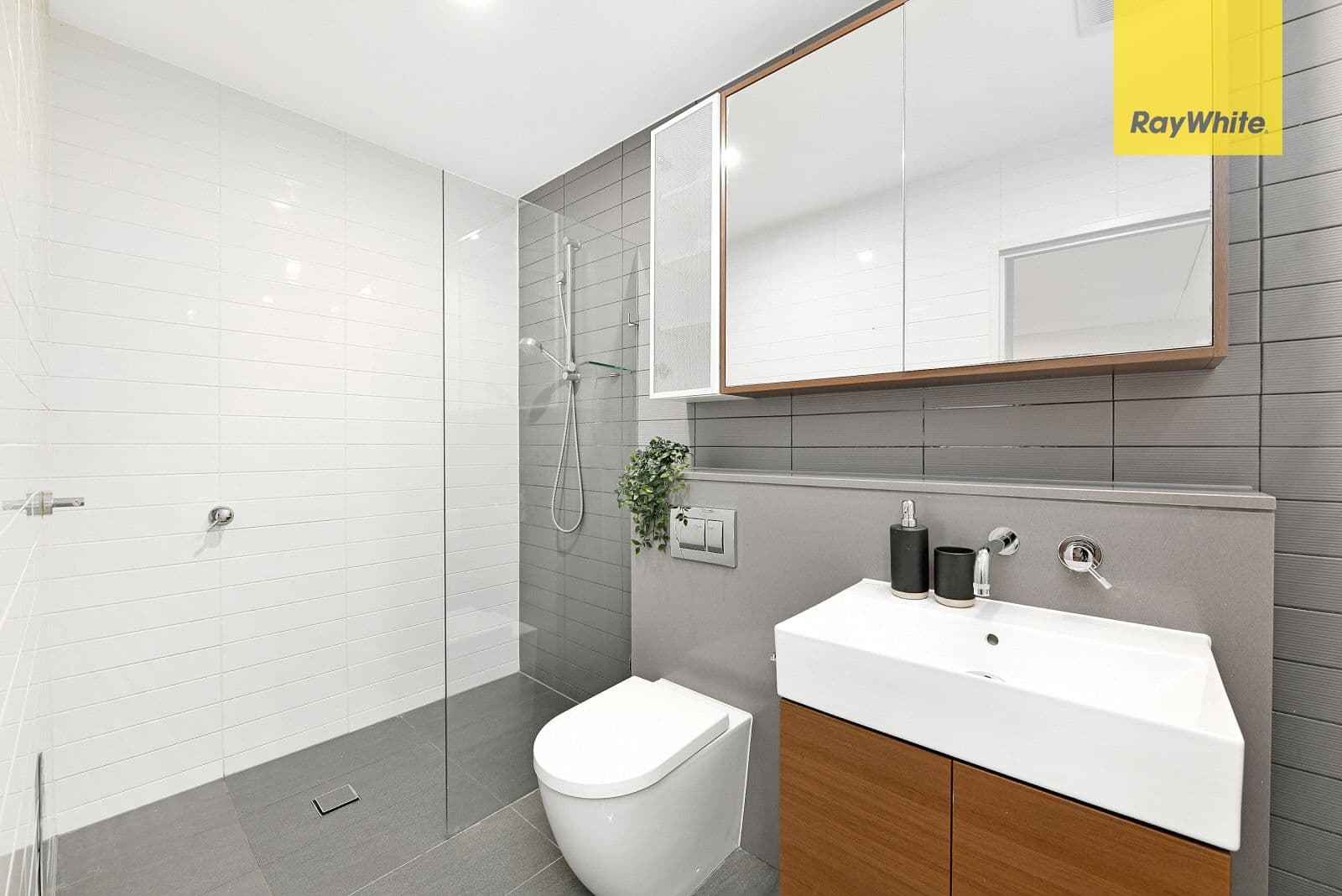 68 River Road, Ermington NSW 2115, Ermington - Thumbnail 8