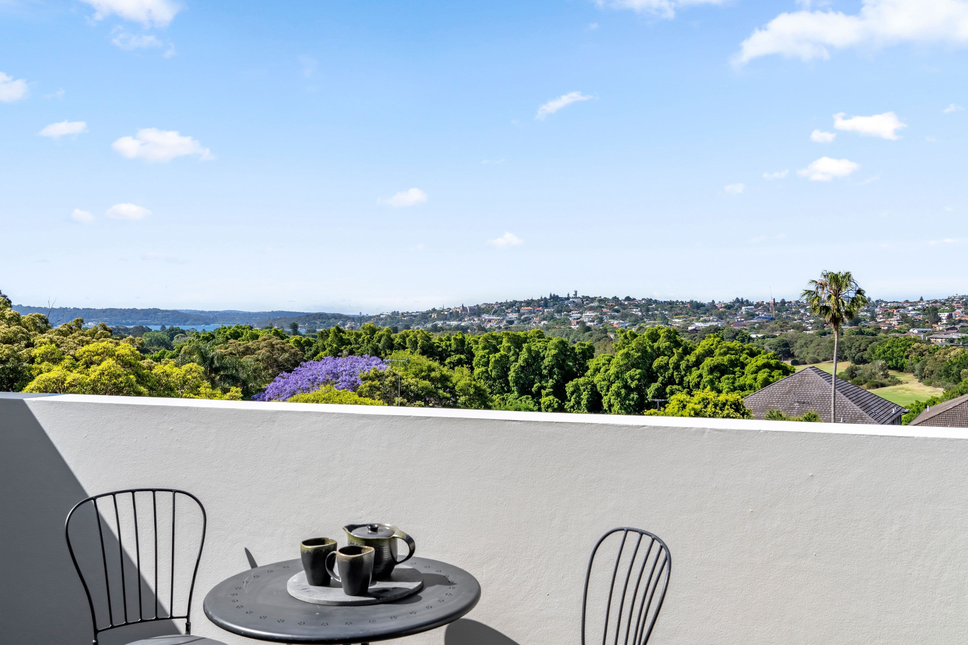 101 Birriga Road, Bellevue Hill NSW 2023, Bellevue Hill - Thumbnail 3