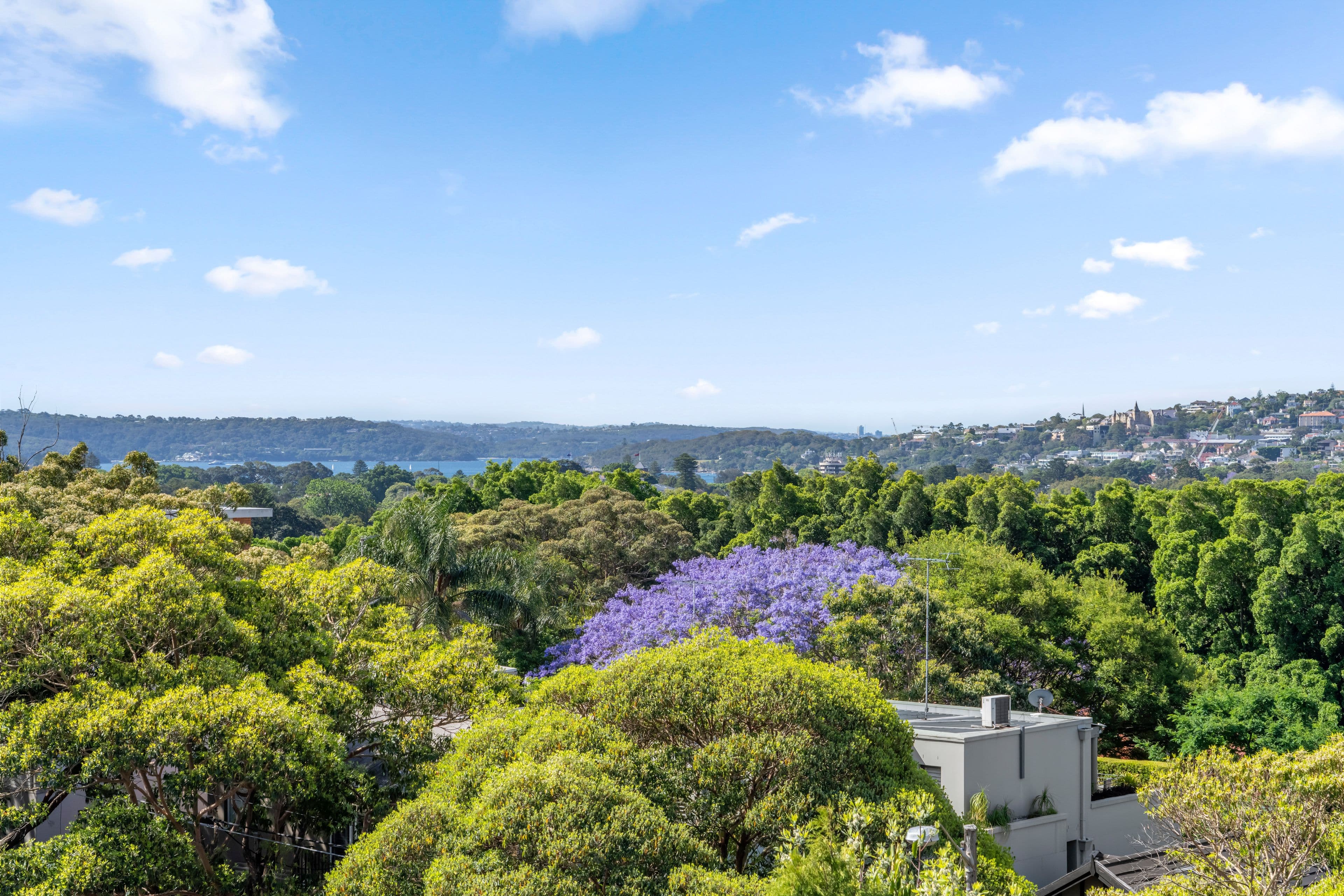 101 Birriga Road, Bellevue Hill NSW 2023, Bellevue Hill - Thumbnail 4