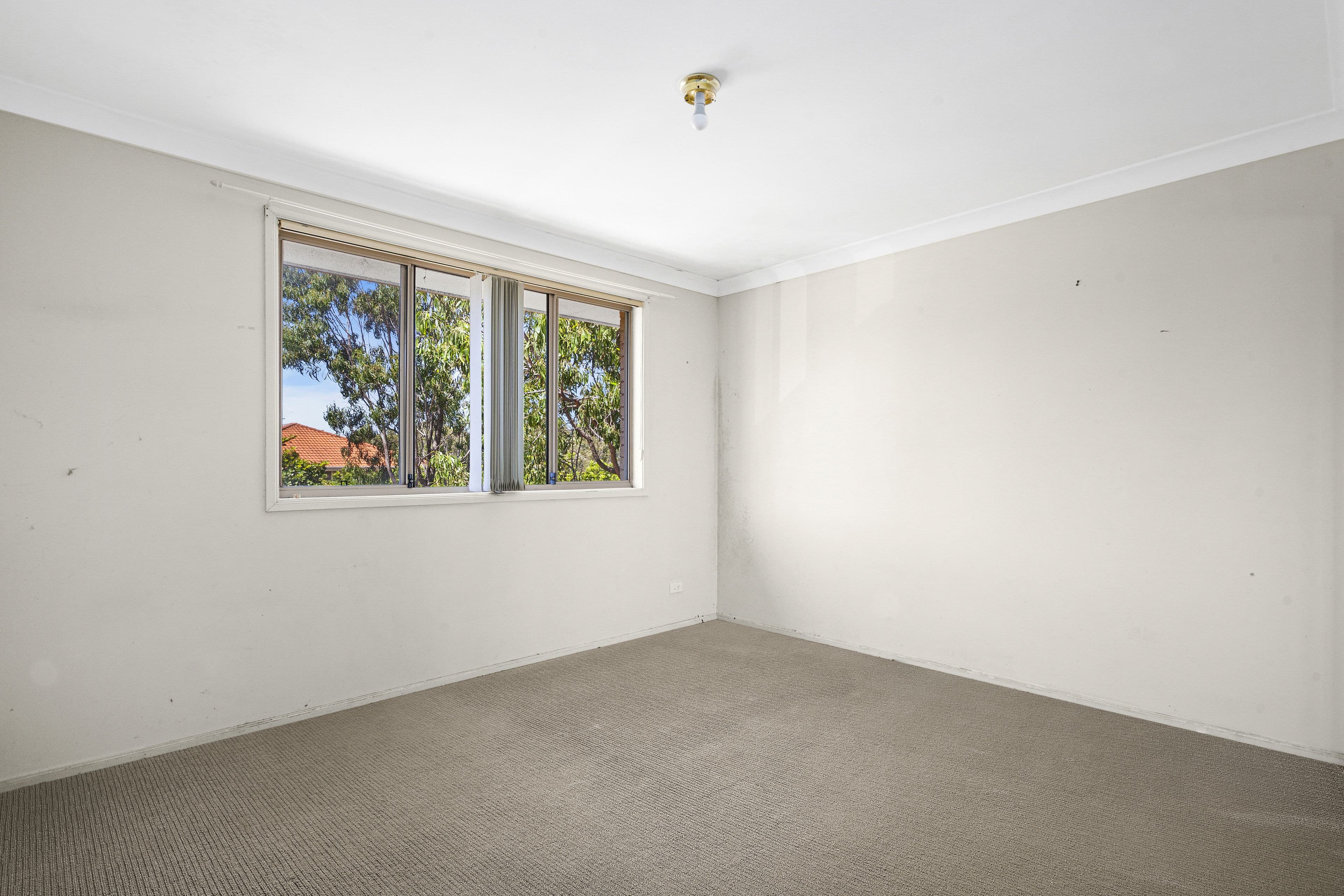 65 Upper Stratheden Road, Stratheden - Thumbnail 8
