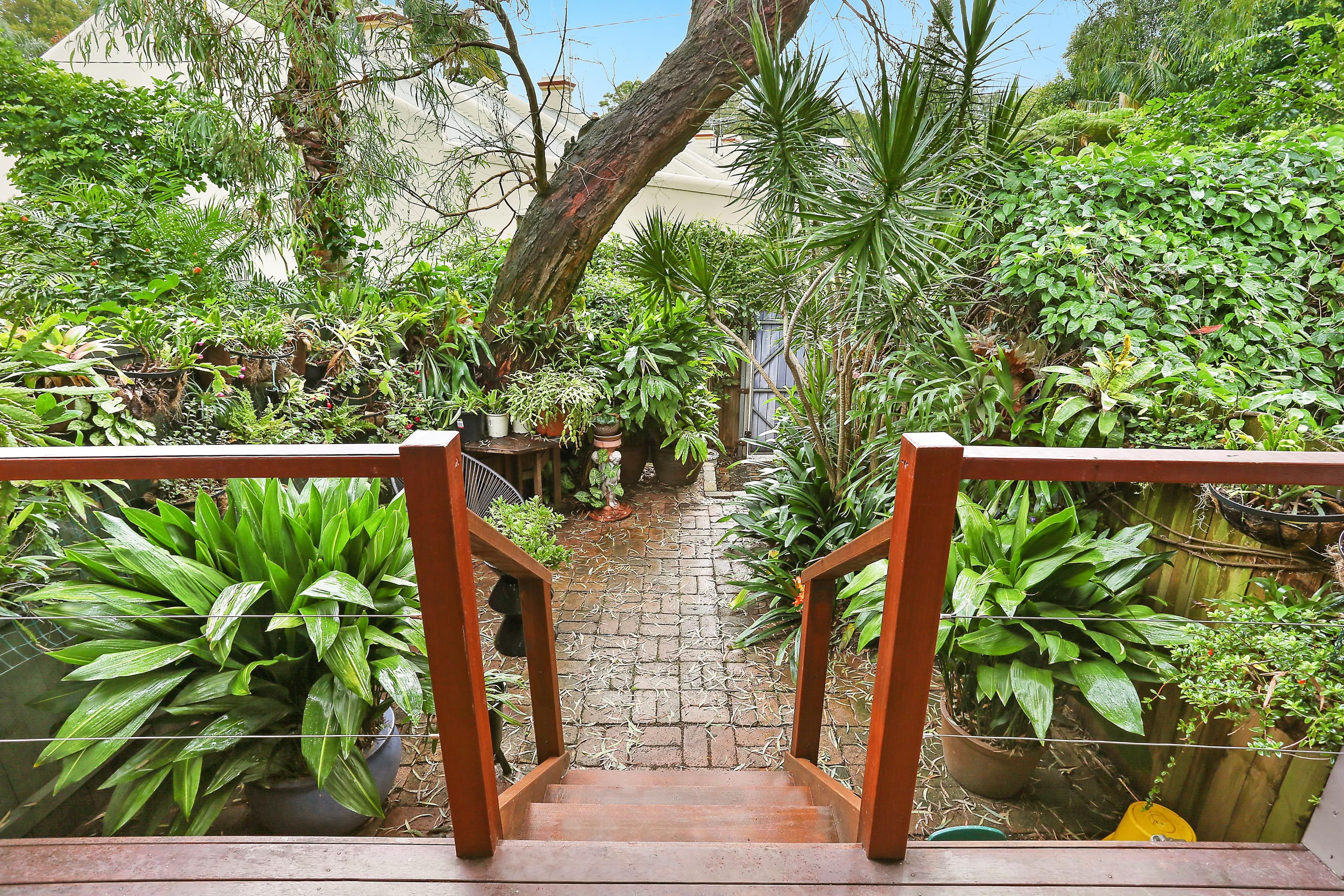 53 Cowper Street, Glebe - Thumbnail 7