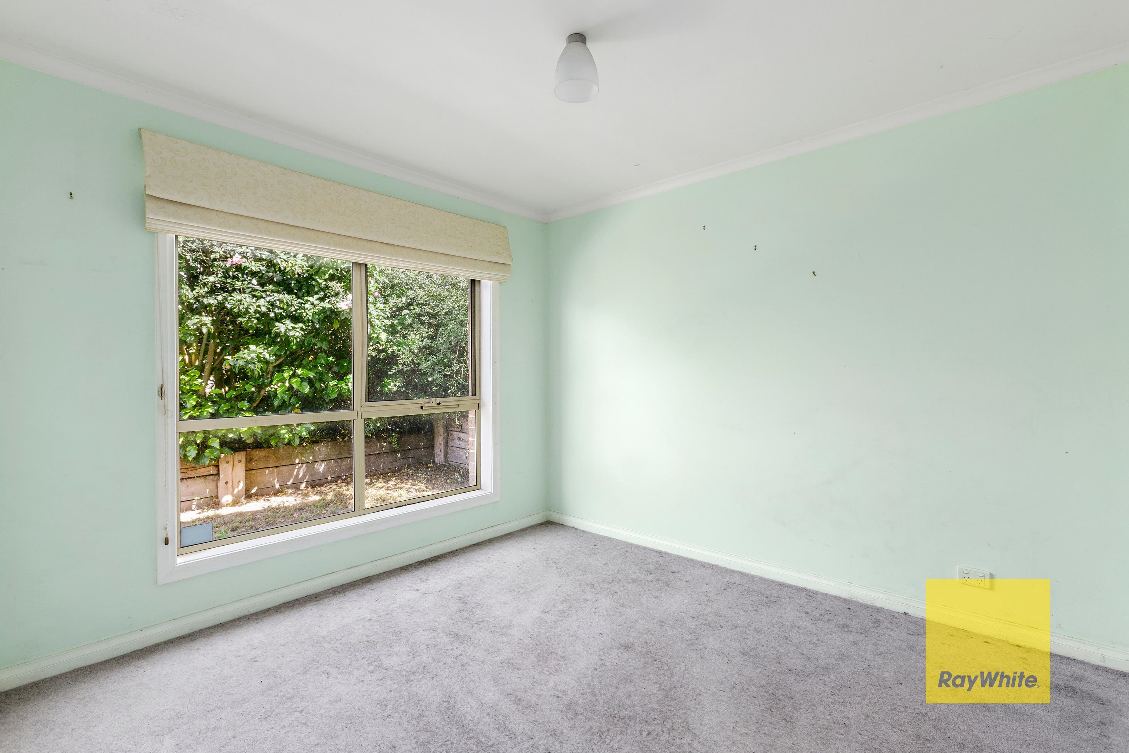 3 Carbery Court, Grovedale VIC 3216, Grovedale - Thumbnail 3