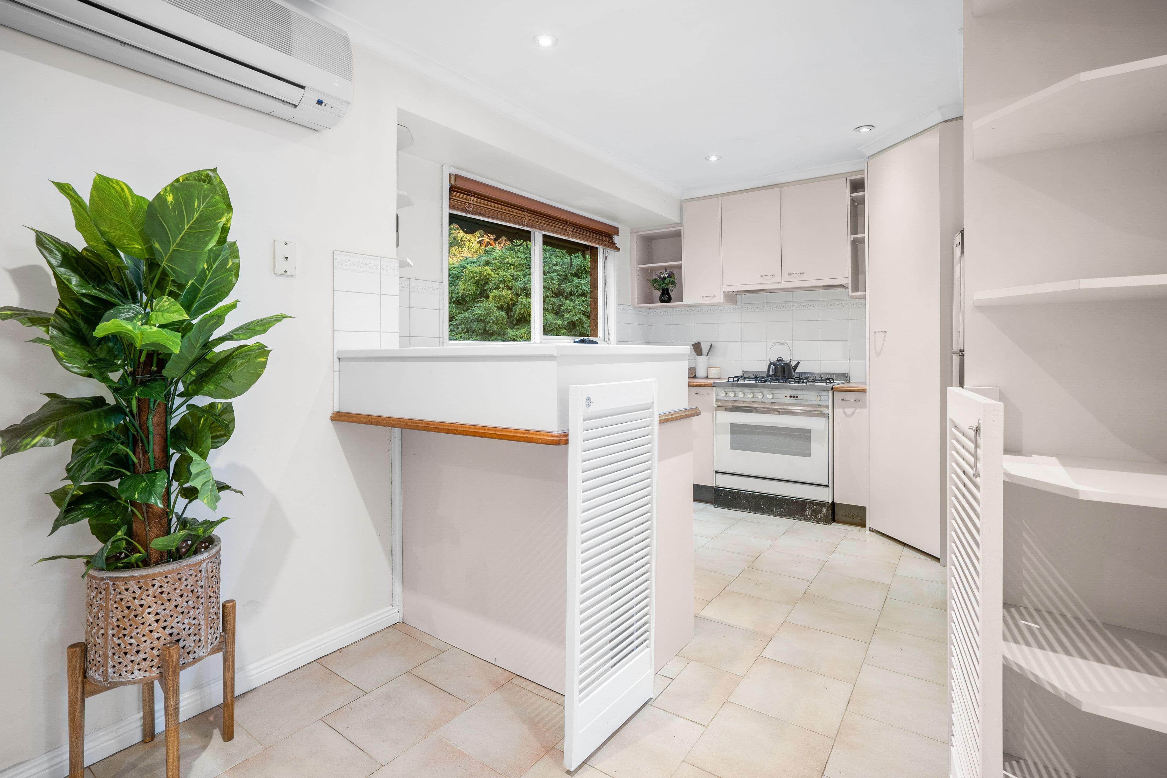 44 Greenhills Road, Bundoora VIC 3083, Bundoora - Thumbnail 5