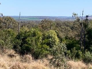 21-23 Crimson Rosella Avenue, Meringandan West QLD 4352, Meringandan West - Thumbnail 3