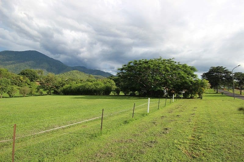 14 Licence Street, Goldsborough QLD 4865, Goldsborough - Thumbnail 2