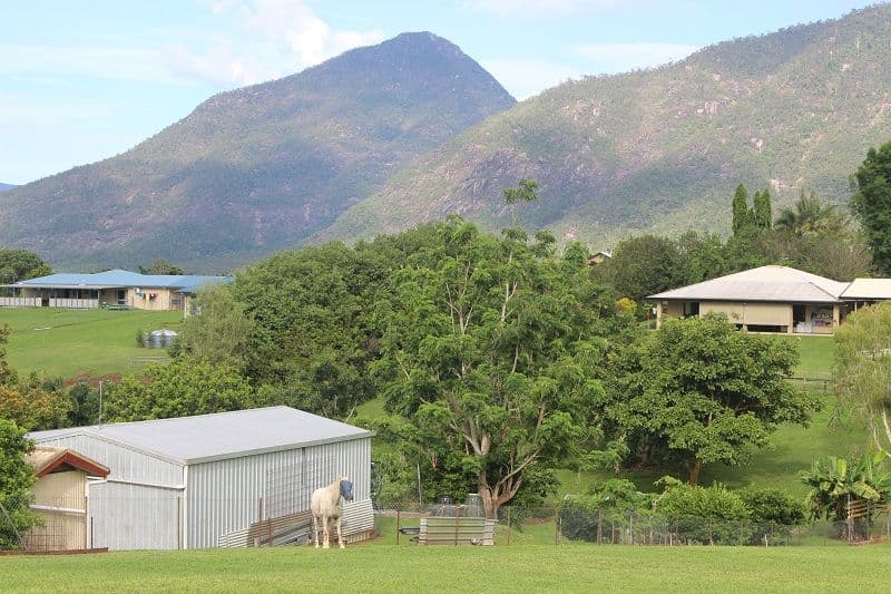14 Licence Street, Goldsborough QLD 4865, Goldsborough - Thumbnail 3