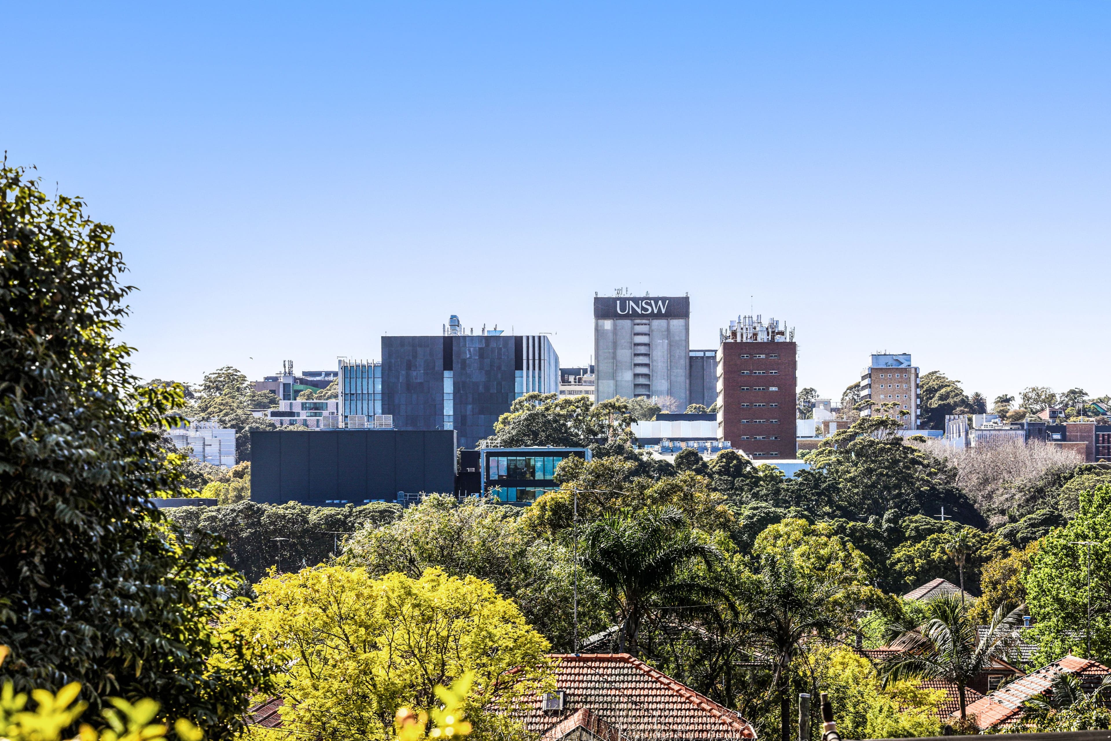 4 Tedwin Avenue, Kensington NSW 2033, Kensington - Thumbnail 7