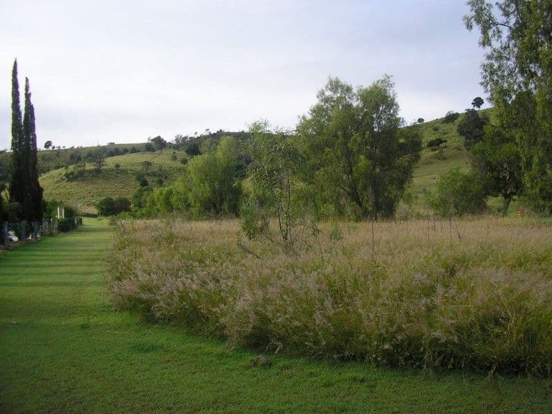 PLAINLAND QLD 4341, Plainland - Thumbnail 2