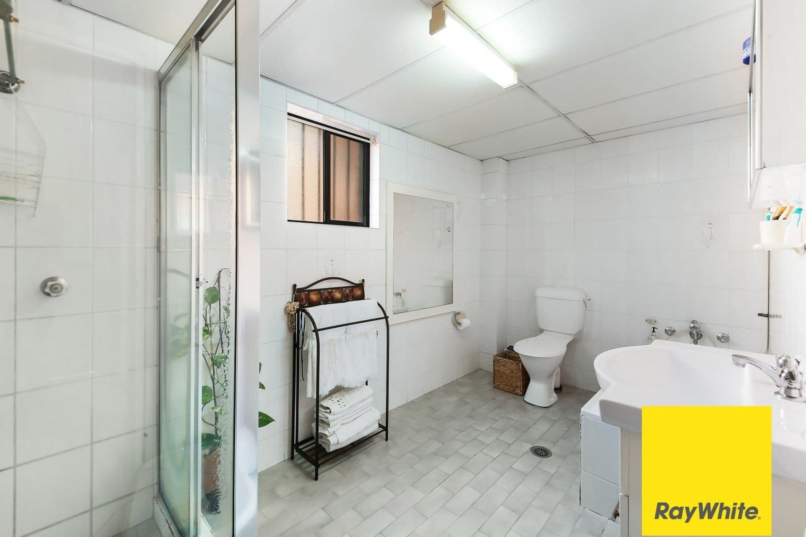 16 Denman Avenue, Wiley Park NSW 2195, Wiley Park - Thumbnail 6