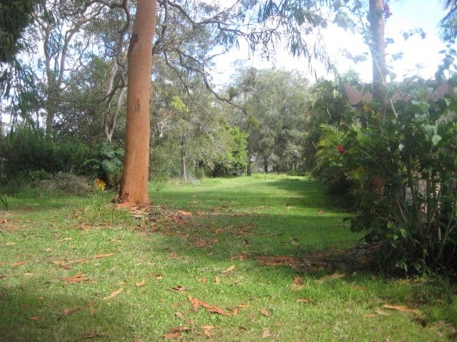 20 Lakeview Road, MORISSET PARK NSW 2264, Morisset Park - Thumbnail 6