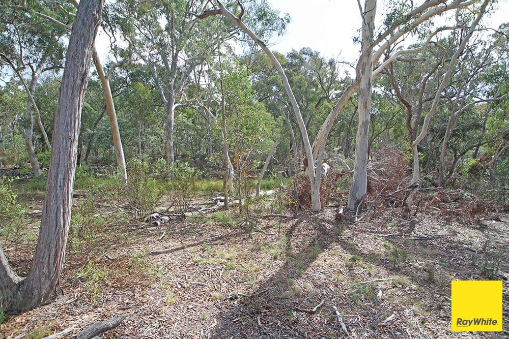 61 Birchmans Grove, WAMBOIN NSW 2620, Wamboin - Image 1