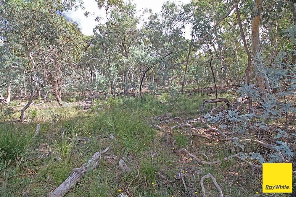 61 Birchmans Grove, WAMBOIN NSW 2620, Wamboin - Thumbnail 5