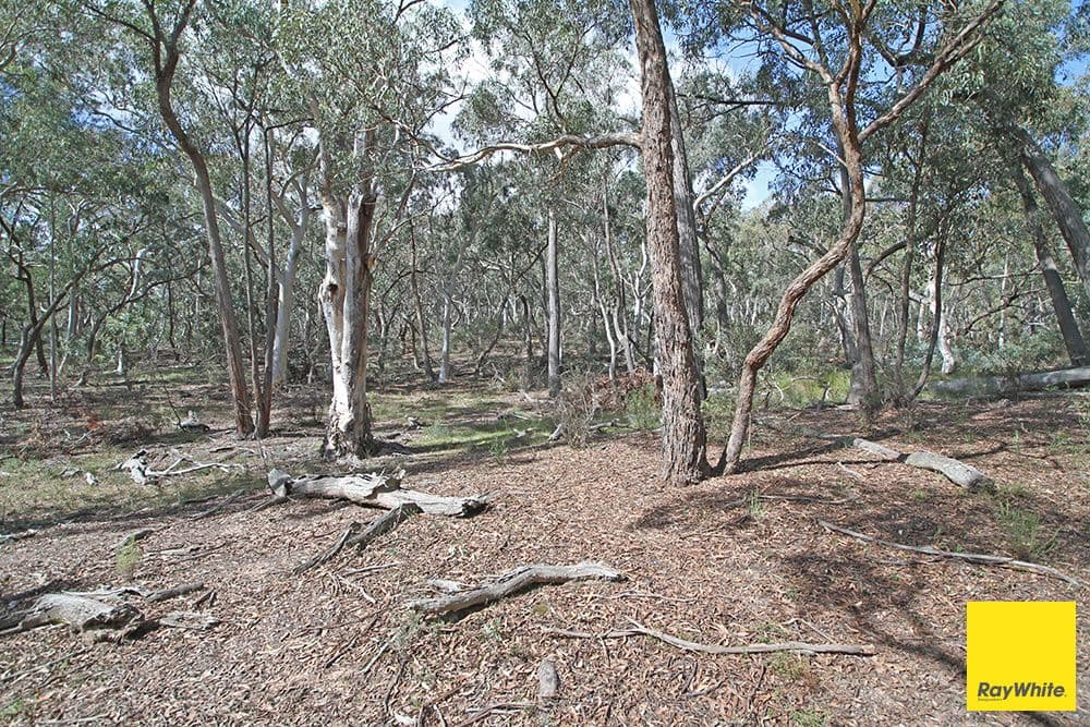 61 Birchmans Grove, WAMBOIN NSW 2620, Wamboin - Thumbnail 6