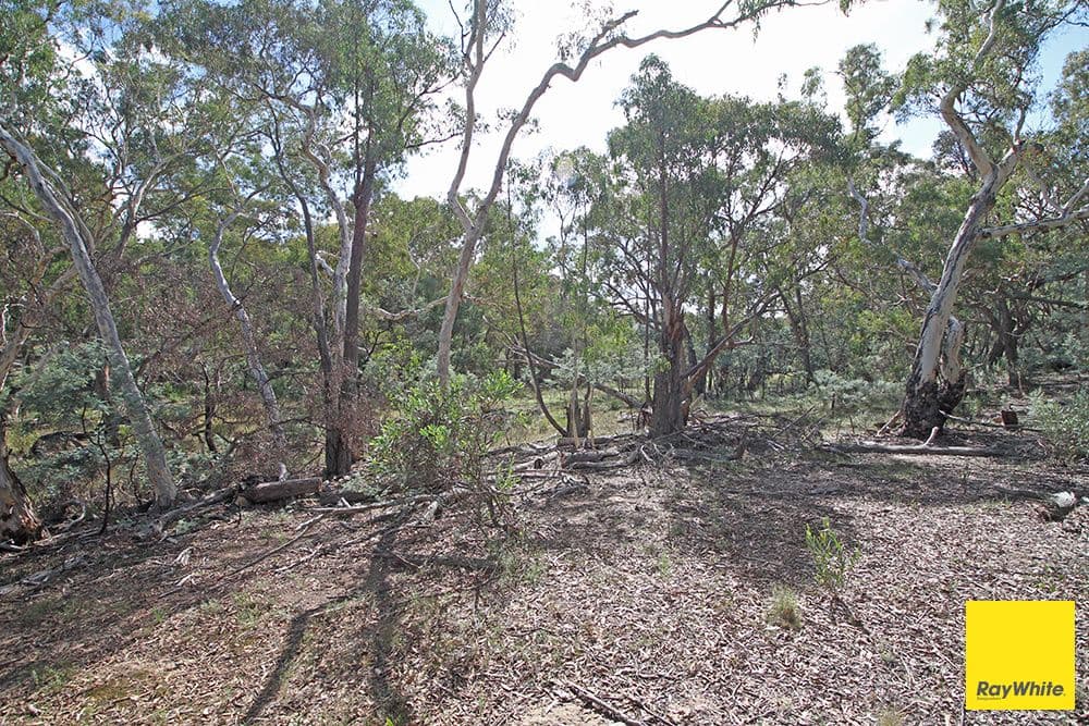 61 Birchmans Grove, WAMBOIN NSW 2620, Wamboin - Thumbnail 7