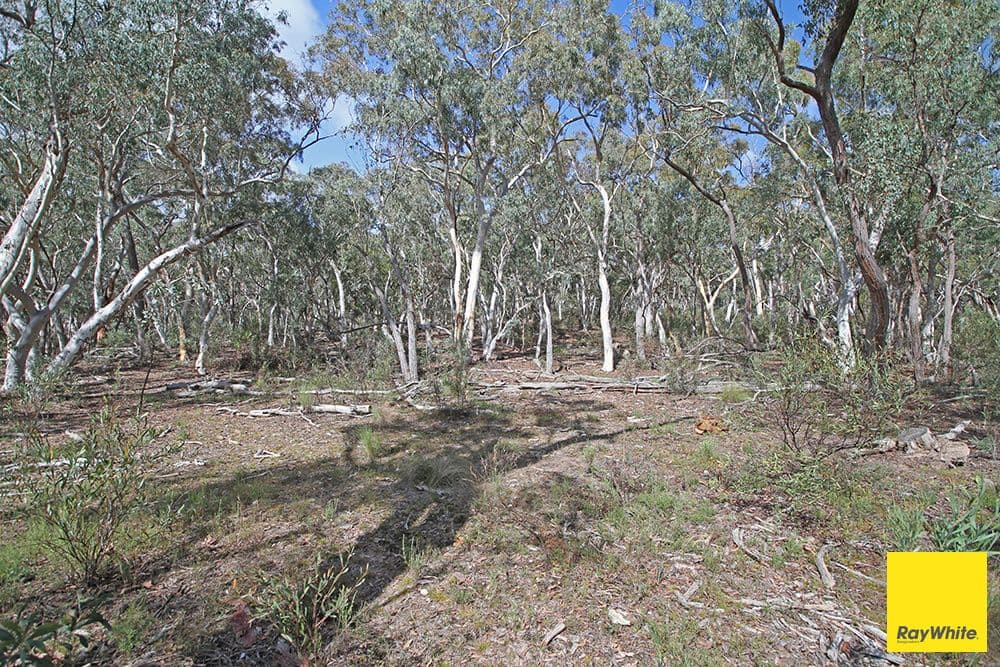 61 Birchmans Grove, WAMBOIN NSW 2620, Wamboin - Thumbnail 8