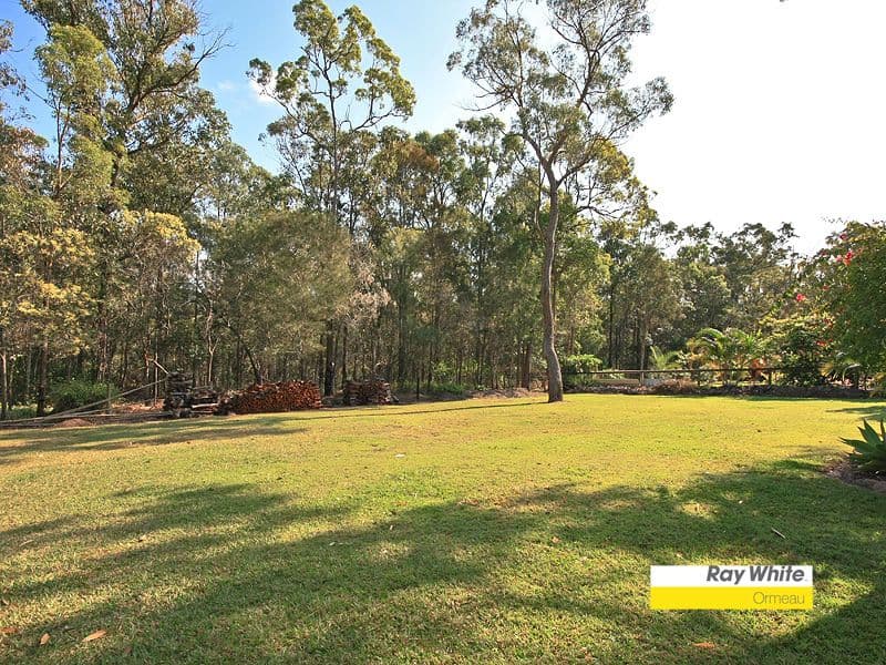 50 Pascoe Road, ORMEAU QLD 4208, Ormeau - Thumbnail 8