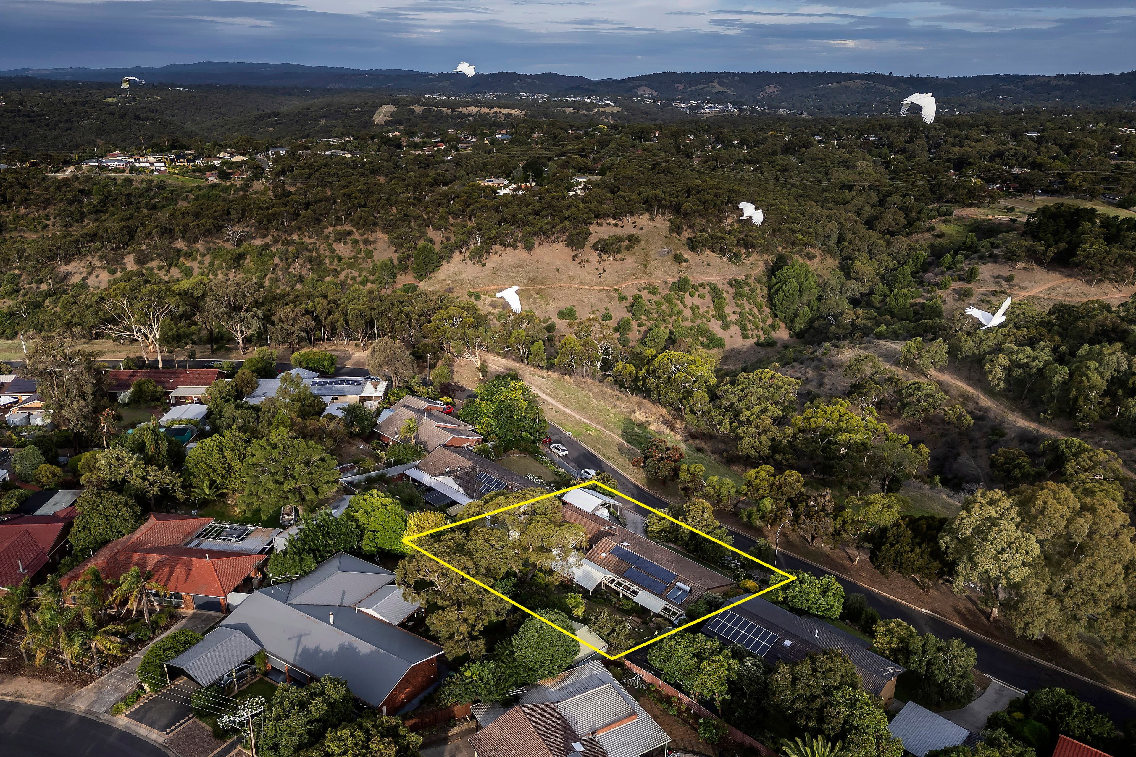 16 Lovely Valley Road, Flagstaff Hill SA 5159, Flagstaff Hill - Thumbnail 2