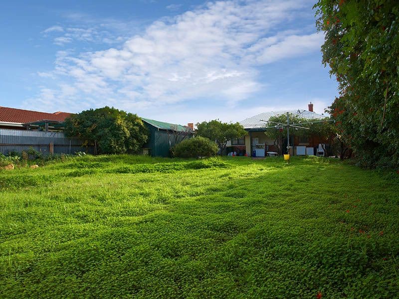 12  Scott Street, POORAKA SA 5095, Pooraka - Thumbnail 2