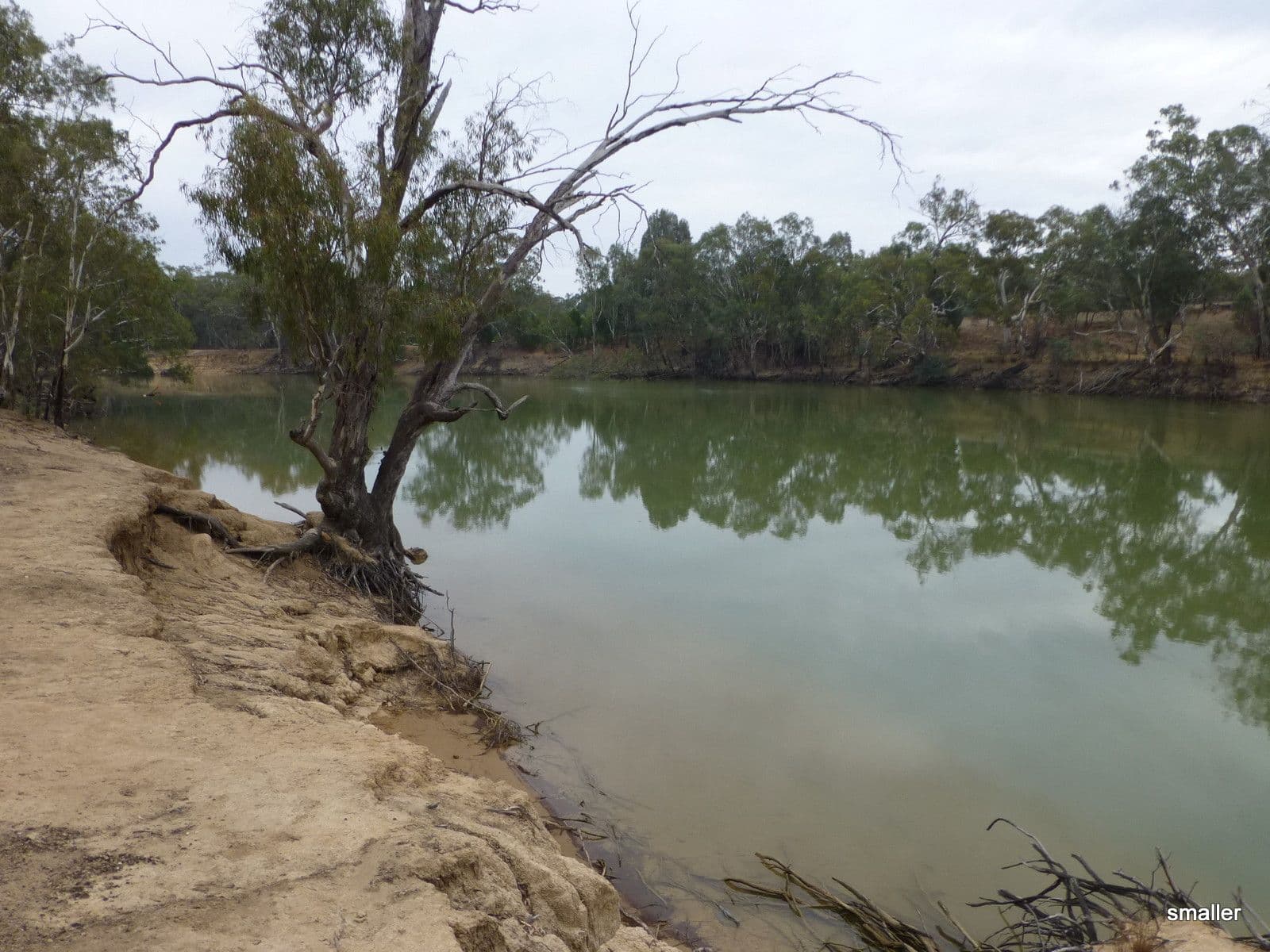 23 Riverview Court, Echuca VIC 3564, Echuca - Thumbnail 7