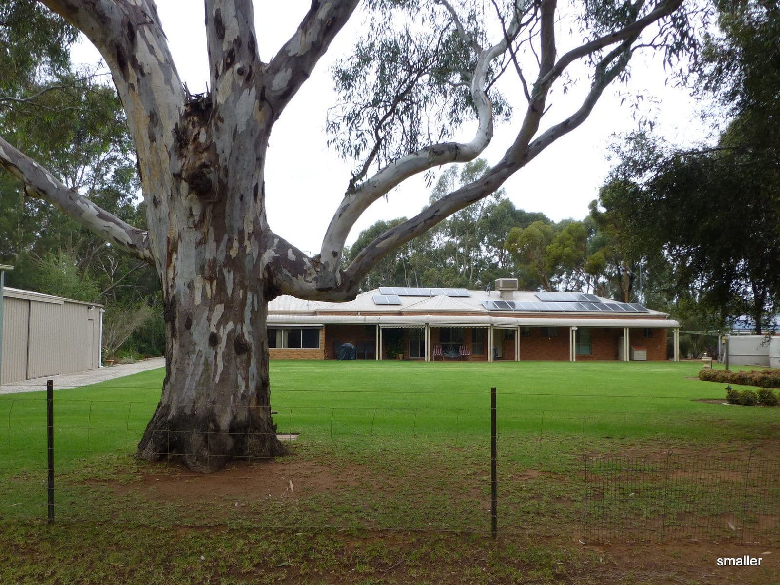 23 Riverview Court, Echuca VIC 3564, Echuca - Thumbnail 8