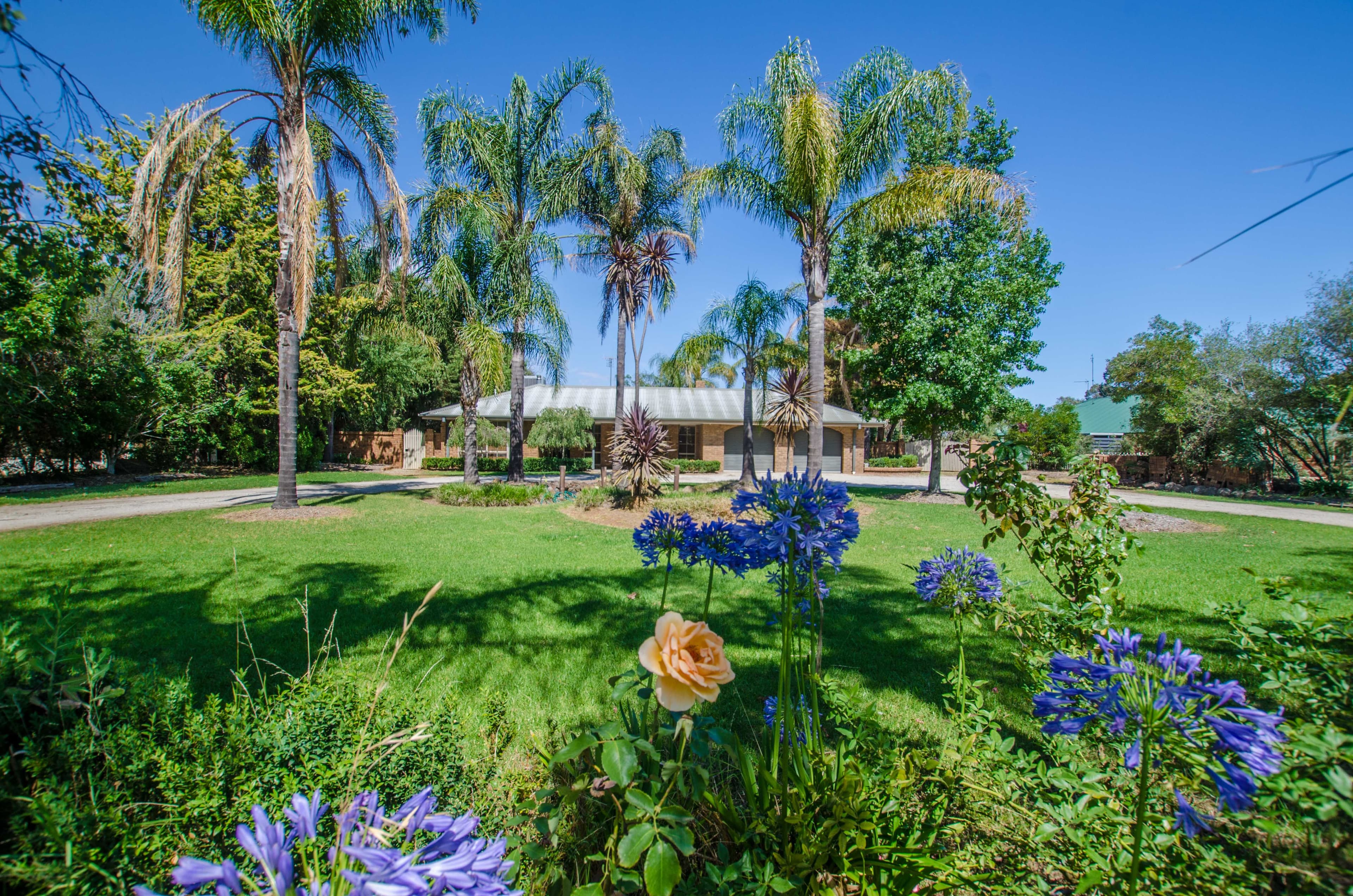 203 Wharparilla Drive, Echuca VIC 3564, Echuca - Thumbnail 2