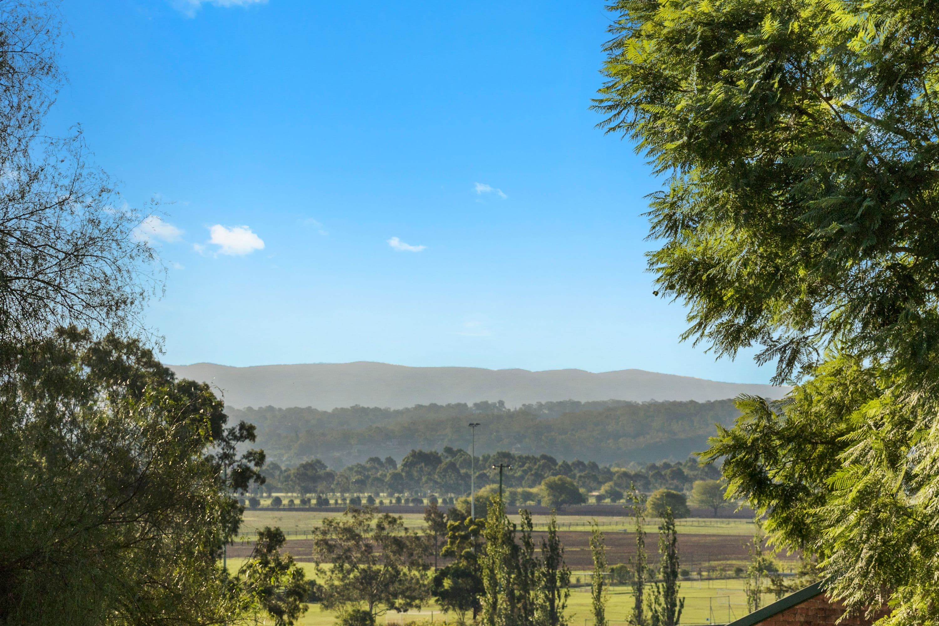 61 Francis Street, Richmond - Thumbnail 4