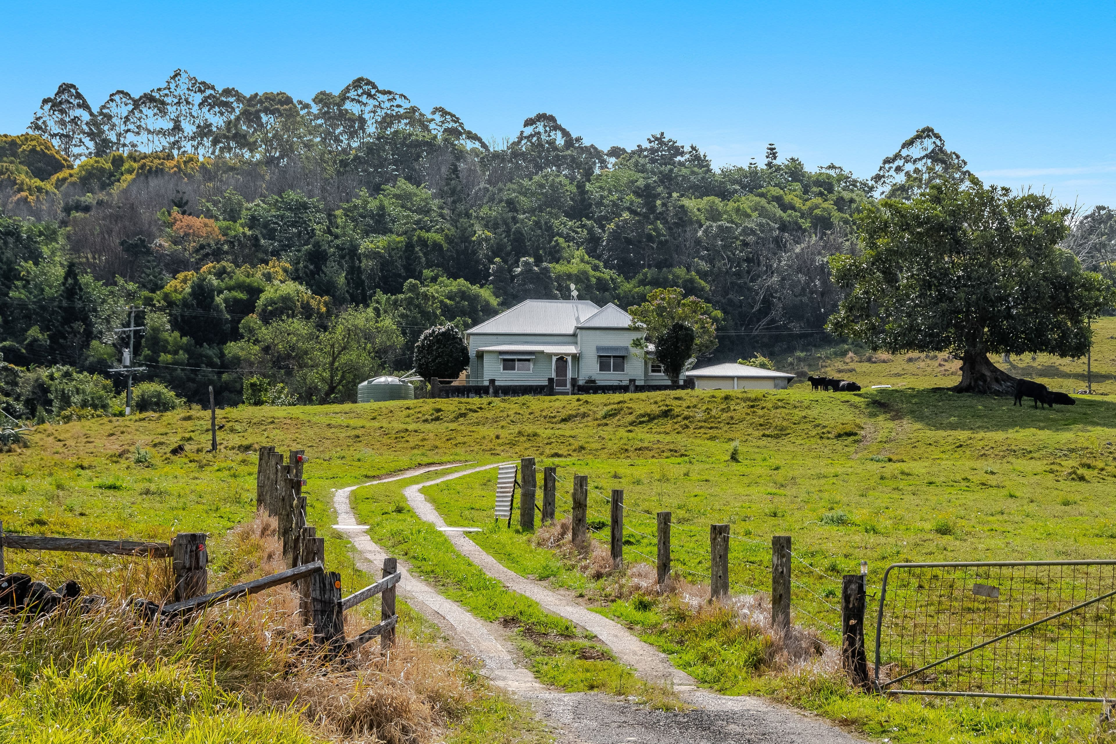 474 Lismore Road, Binna Burra NSW 2479, Binna Burra - Image 1