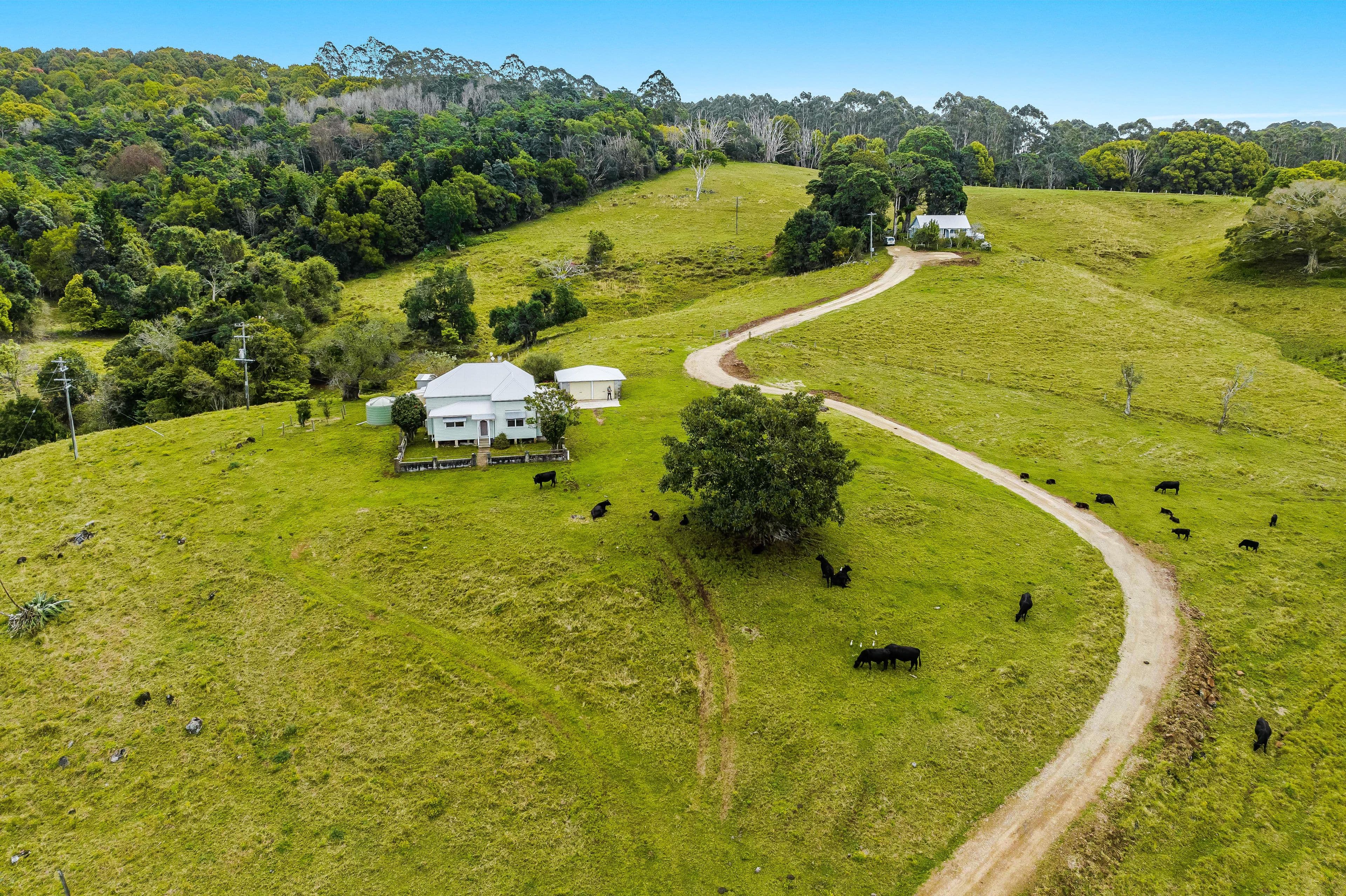 474 Lismore Road, Binna Burra NSW 2479, Binna Burra - Thumbnail 2